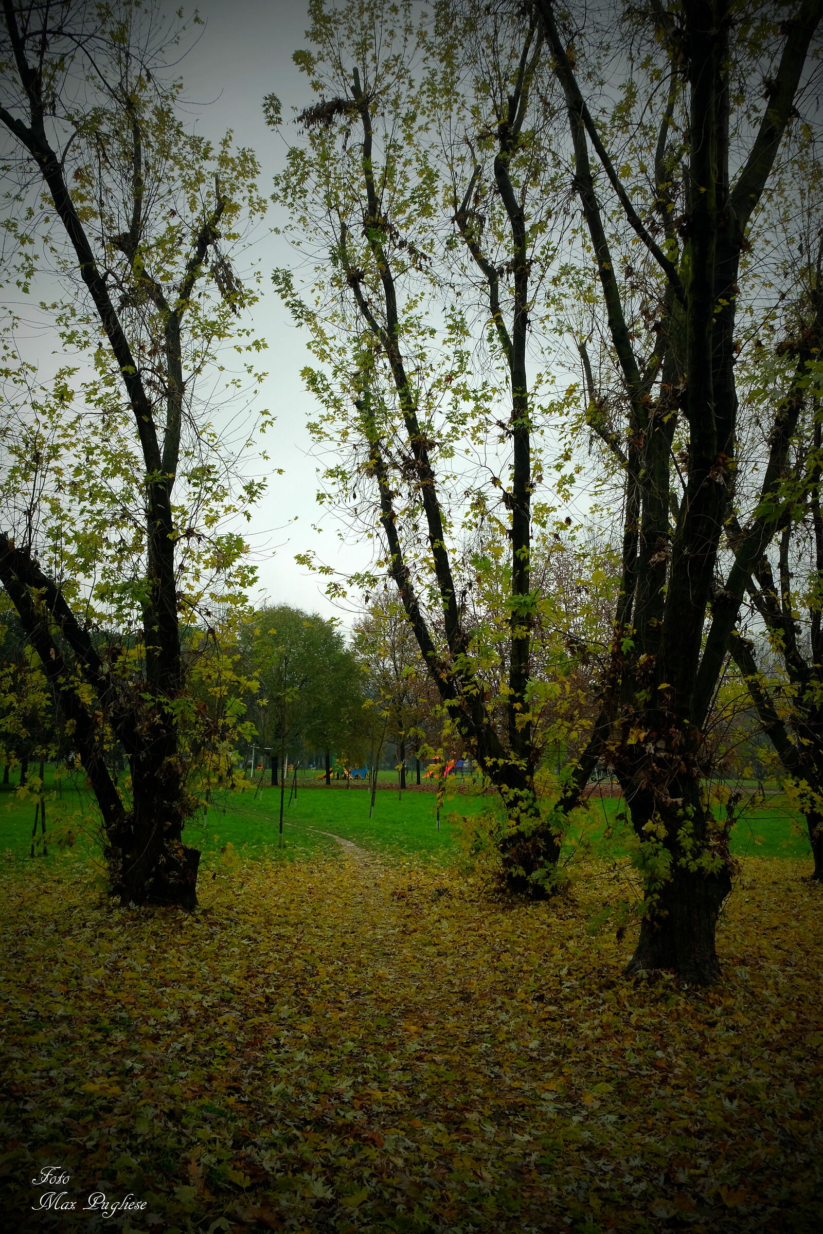 I colori dell'autunno