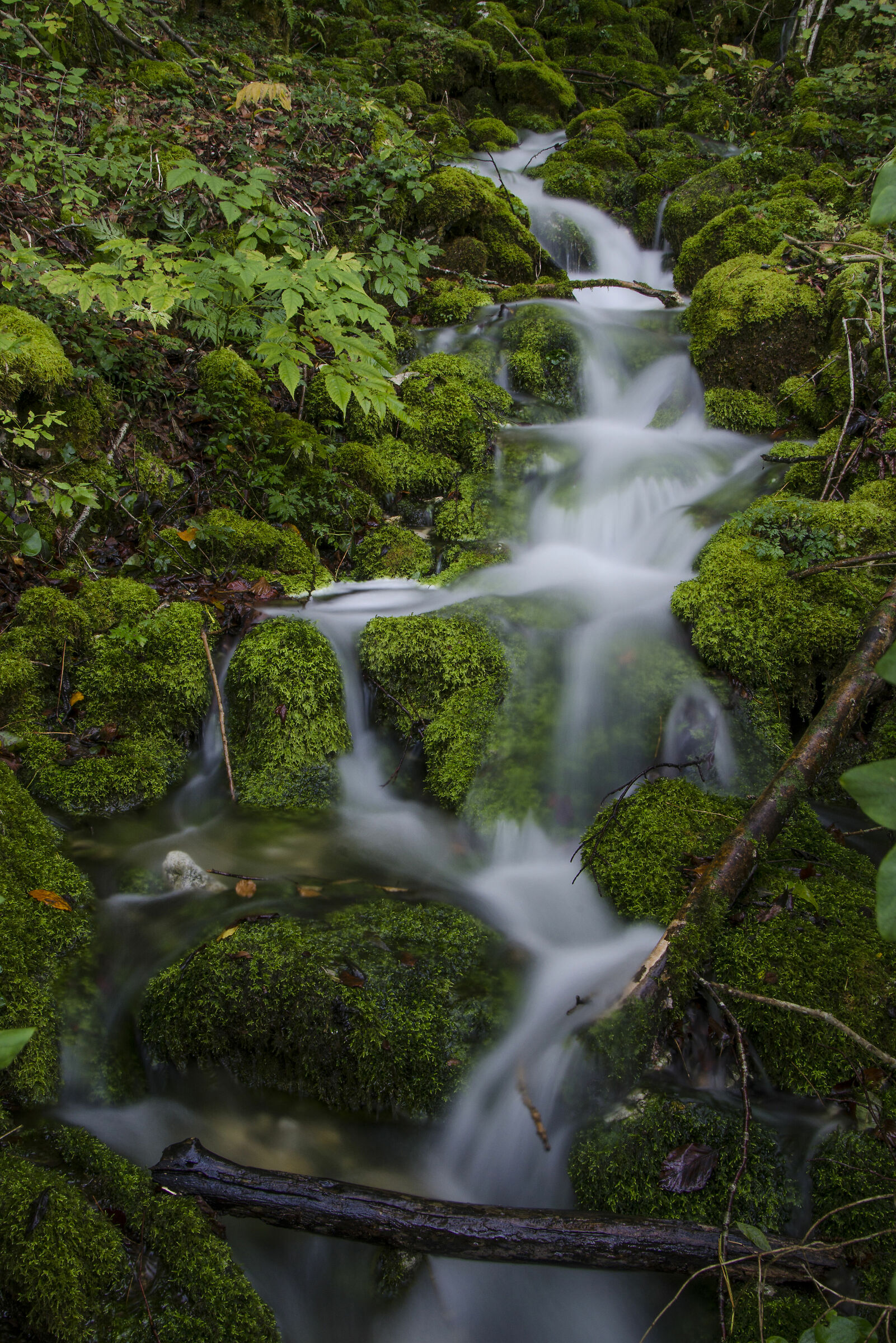Corso d'acqua autunnale