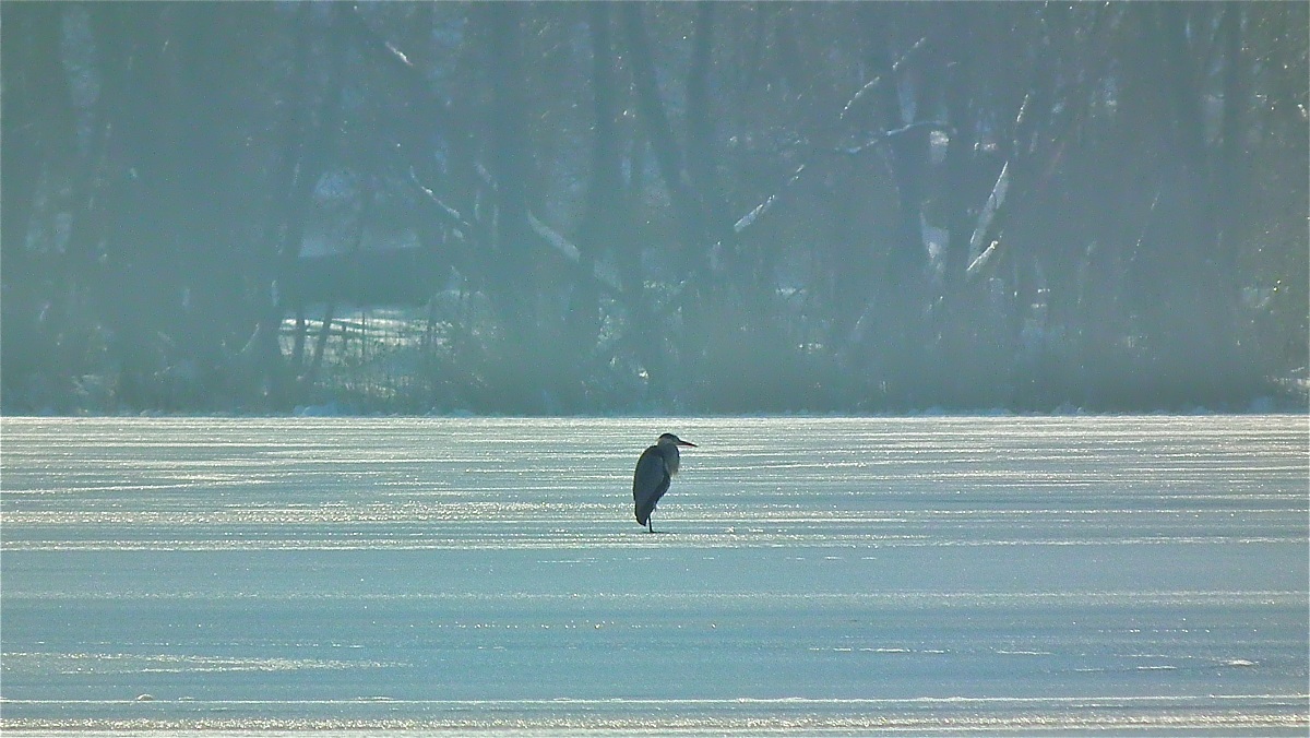 On the frozen lake