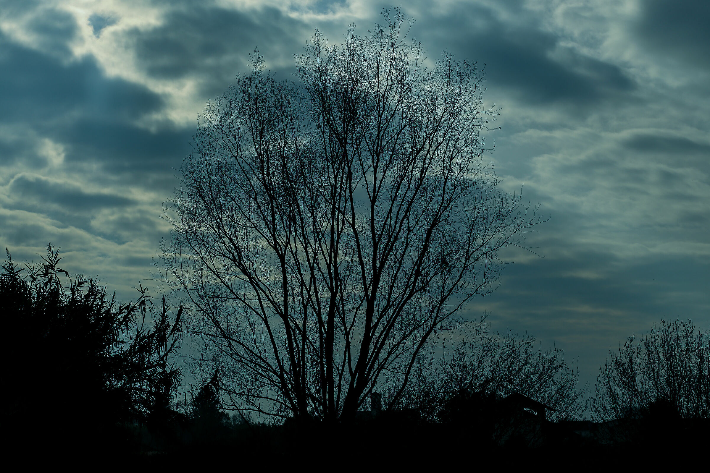 Vicino casa, all'imbrunire.