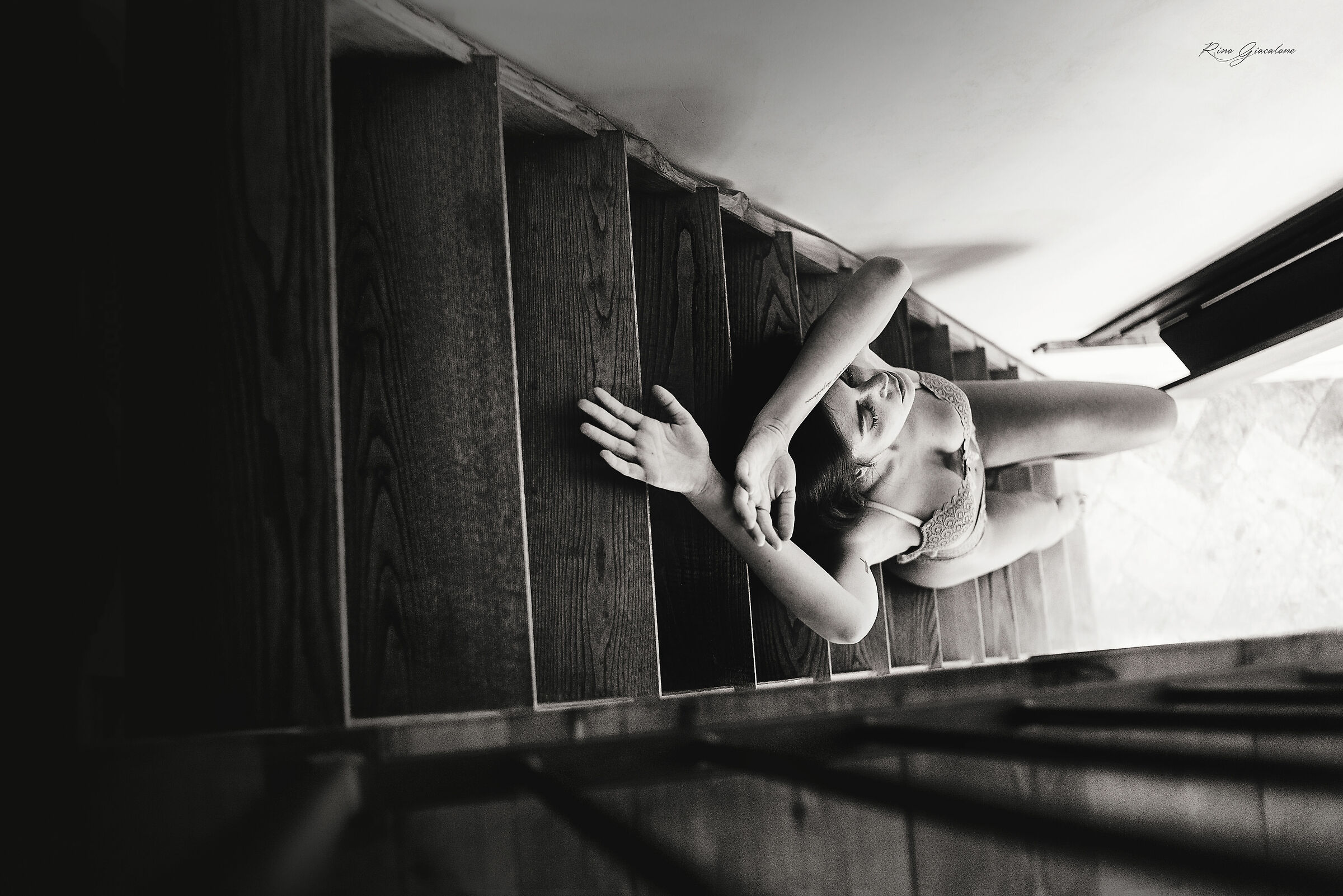 Untitled Photo