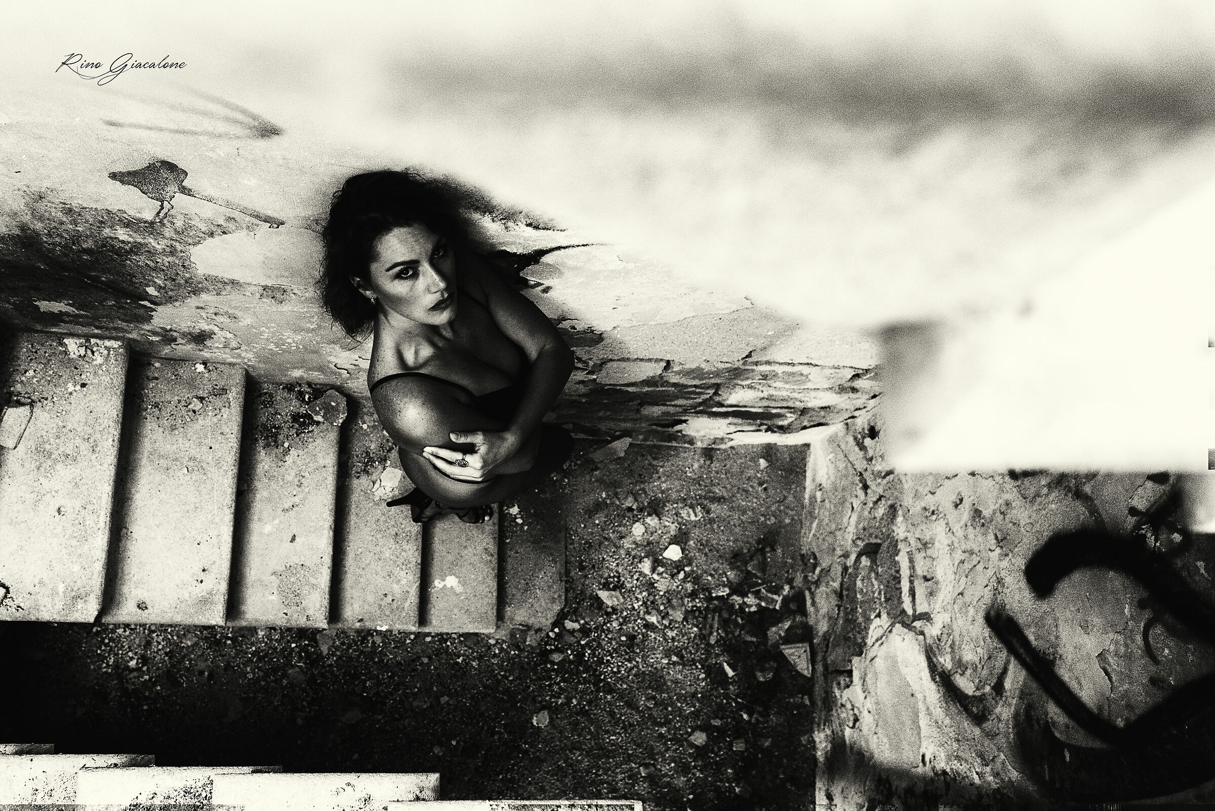 Untitled Photo
