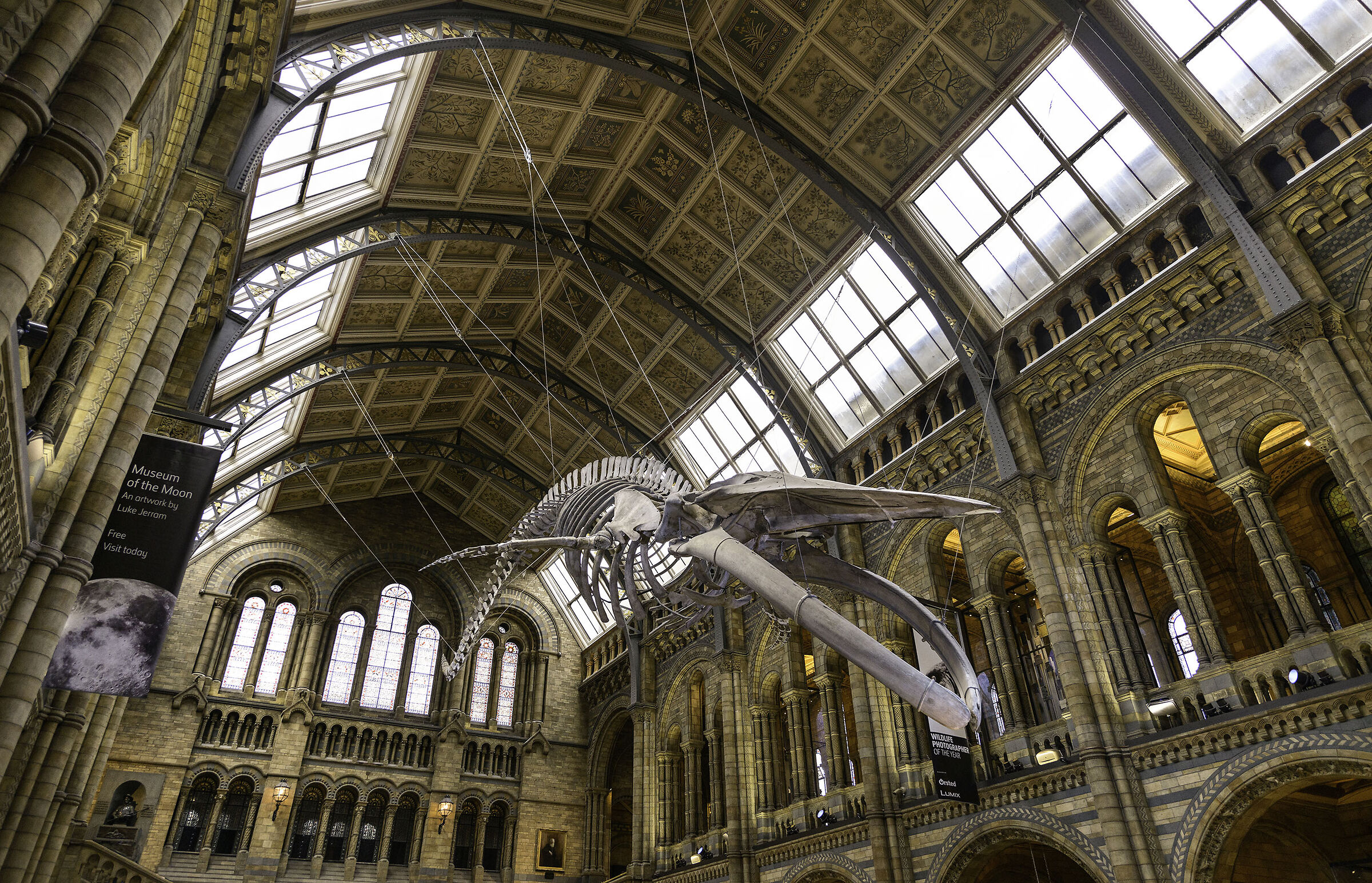 Natural history museum