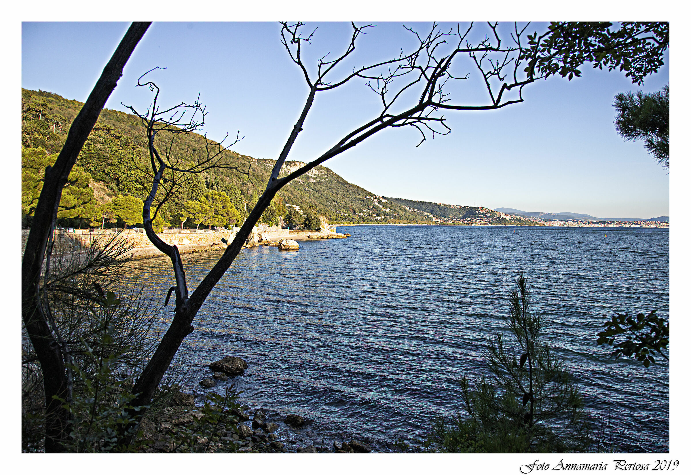 Andando verso Miramare a Trieste