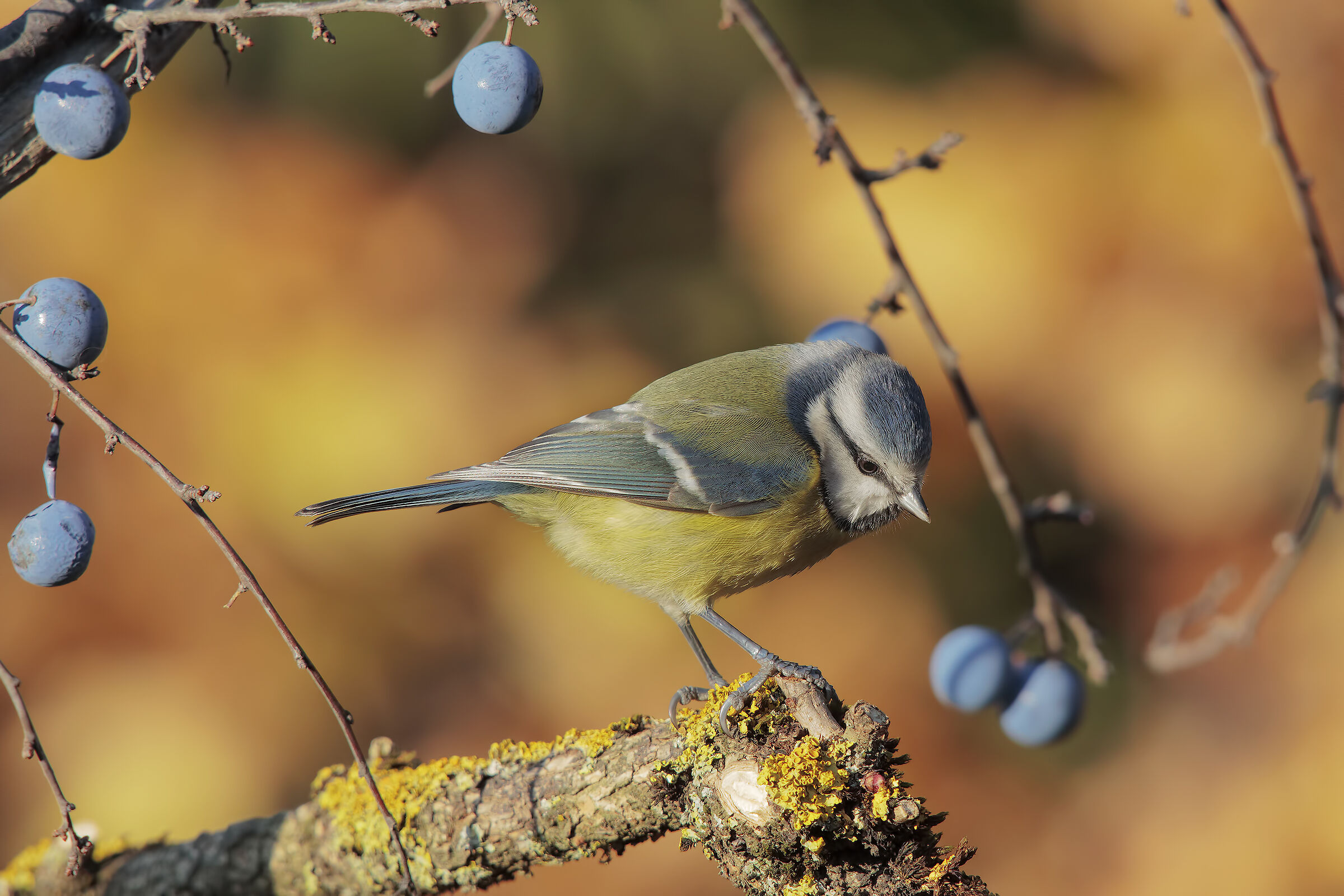 luci e colori della natura