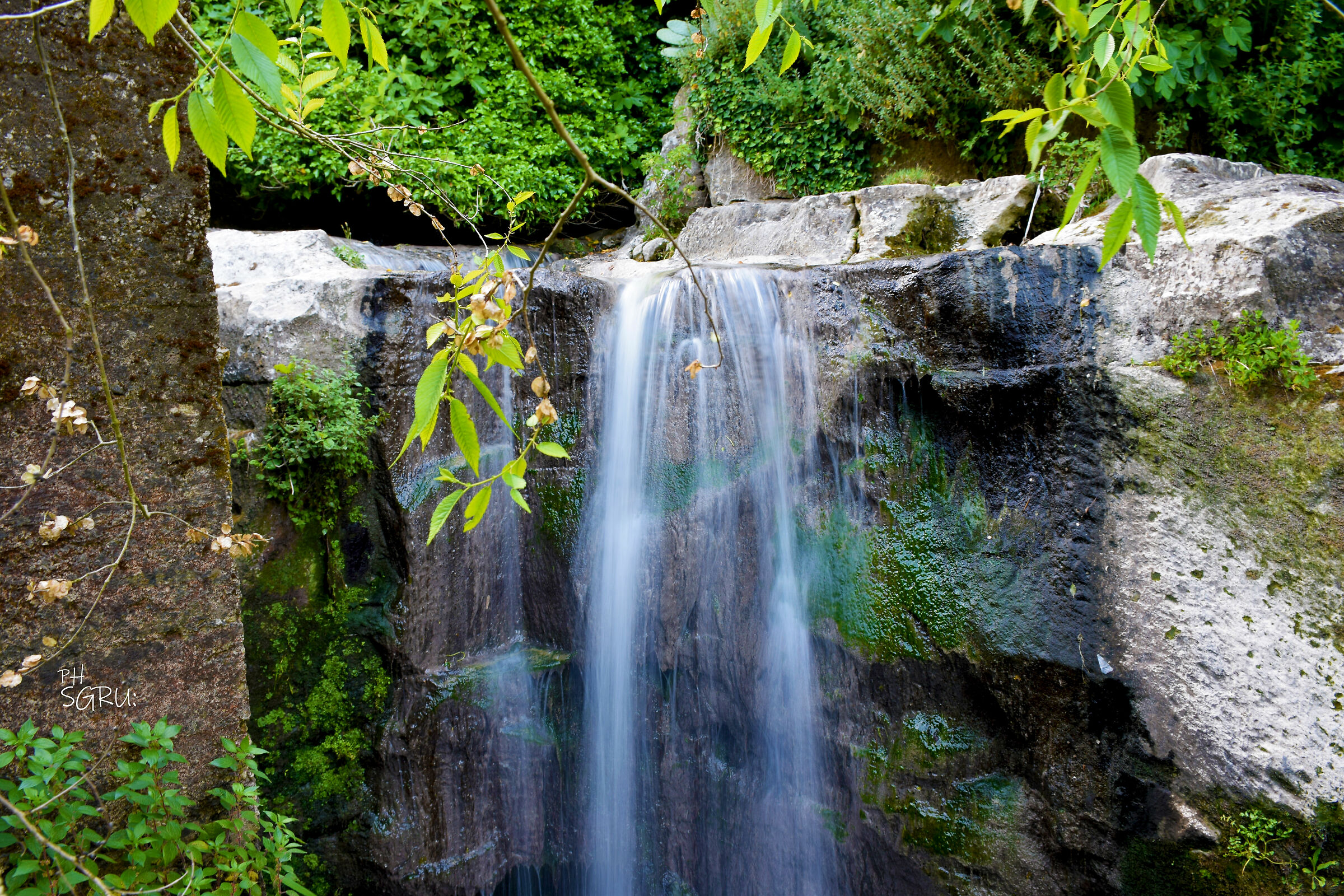 ruscello sul muschio