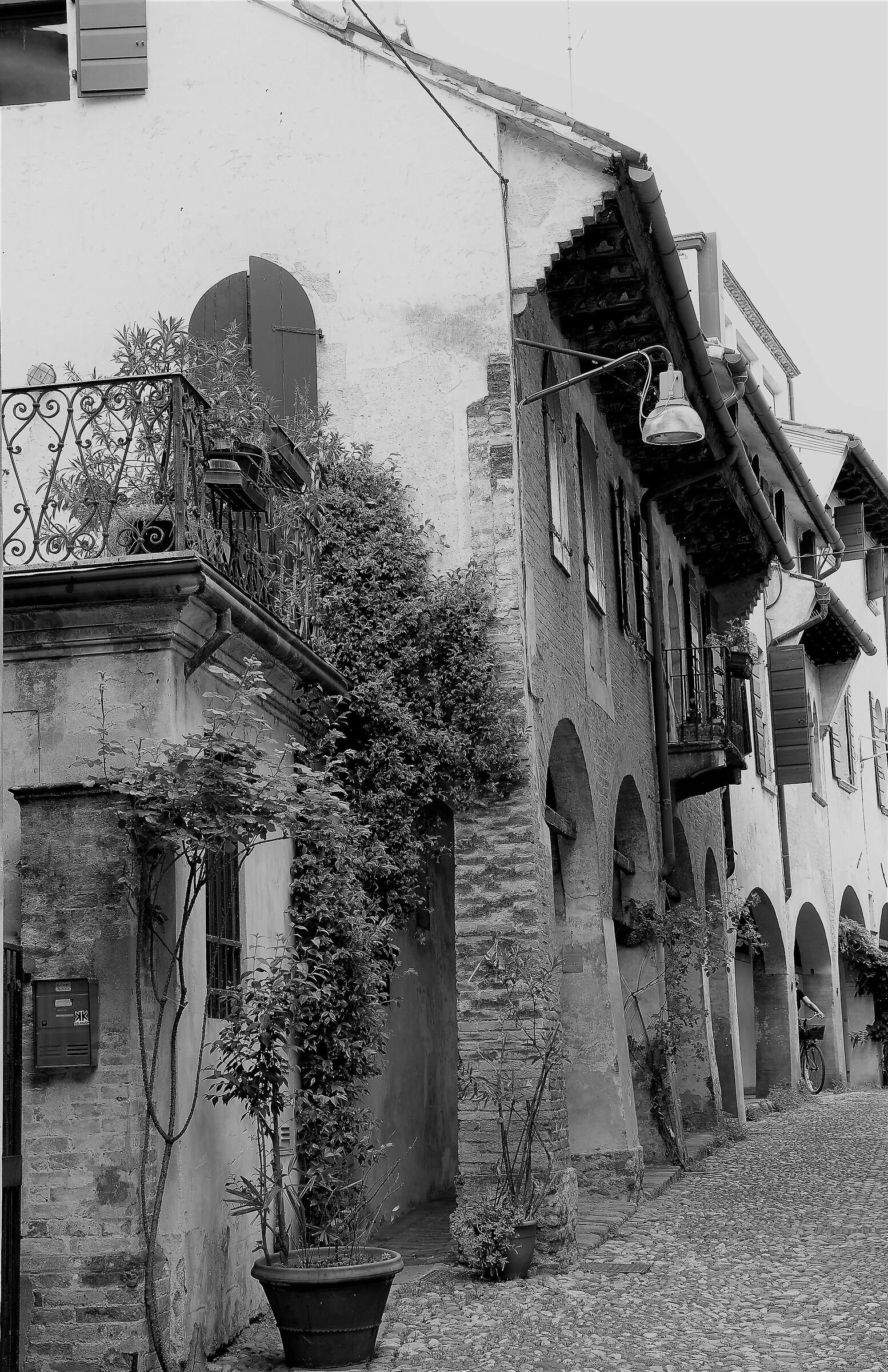 Treviso