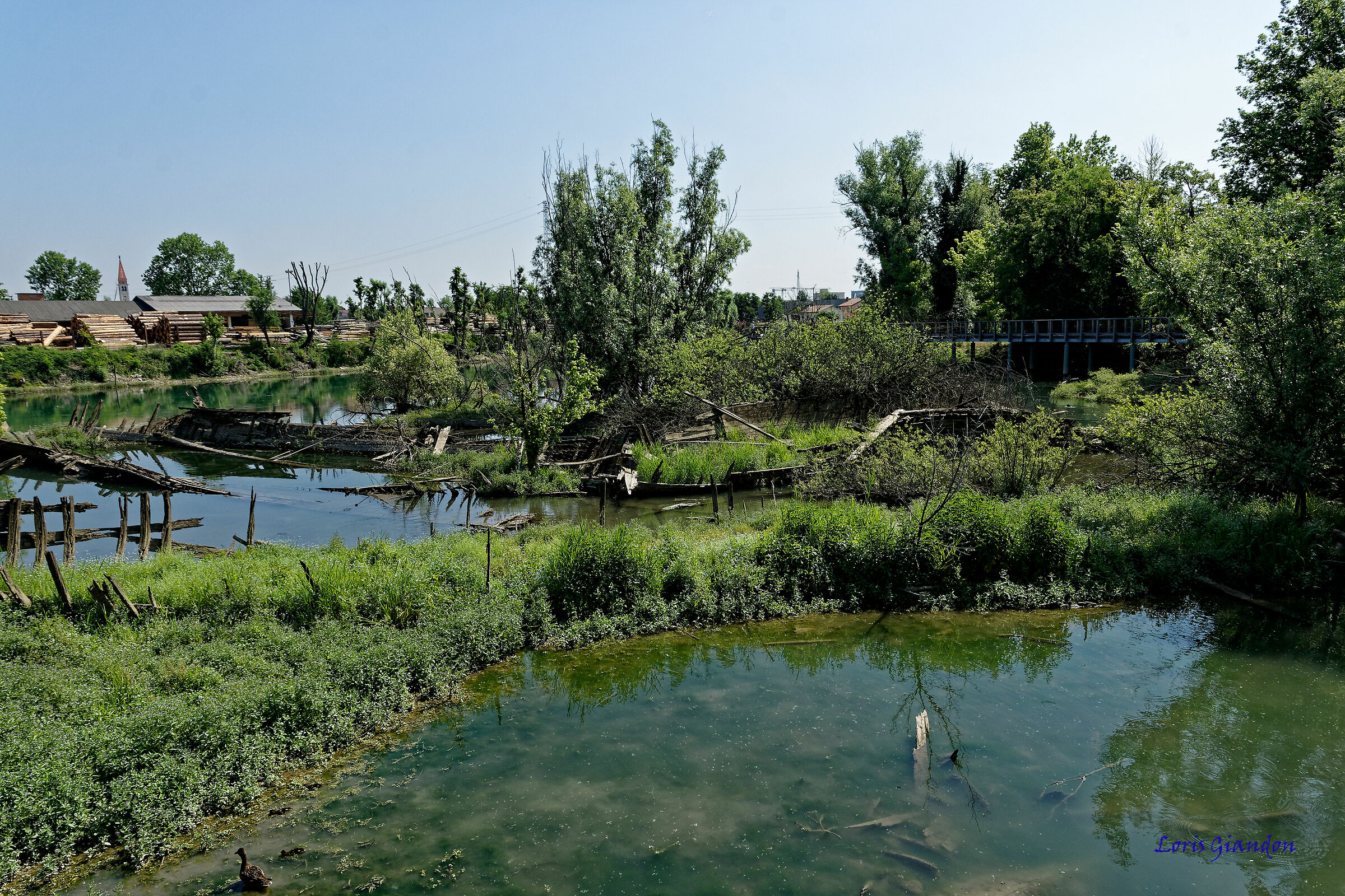 Fiume Sile