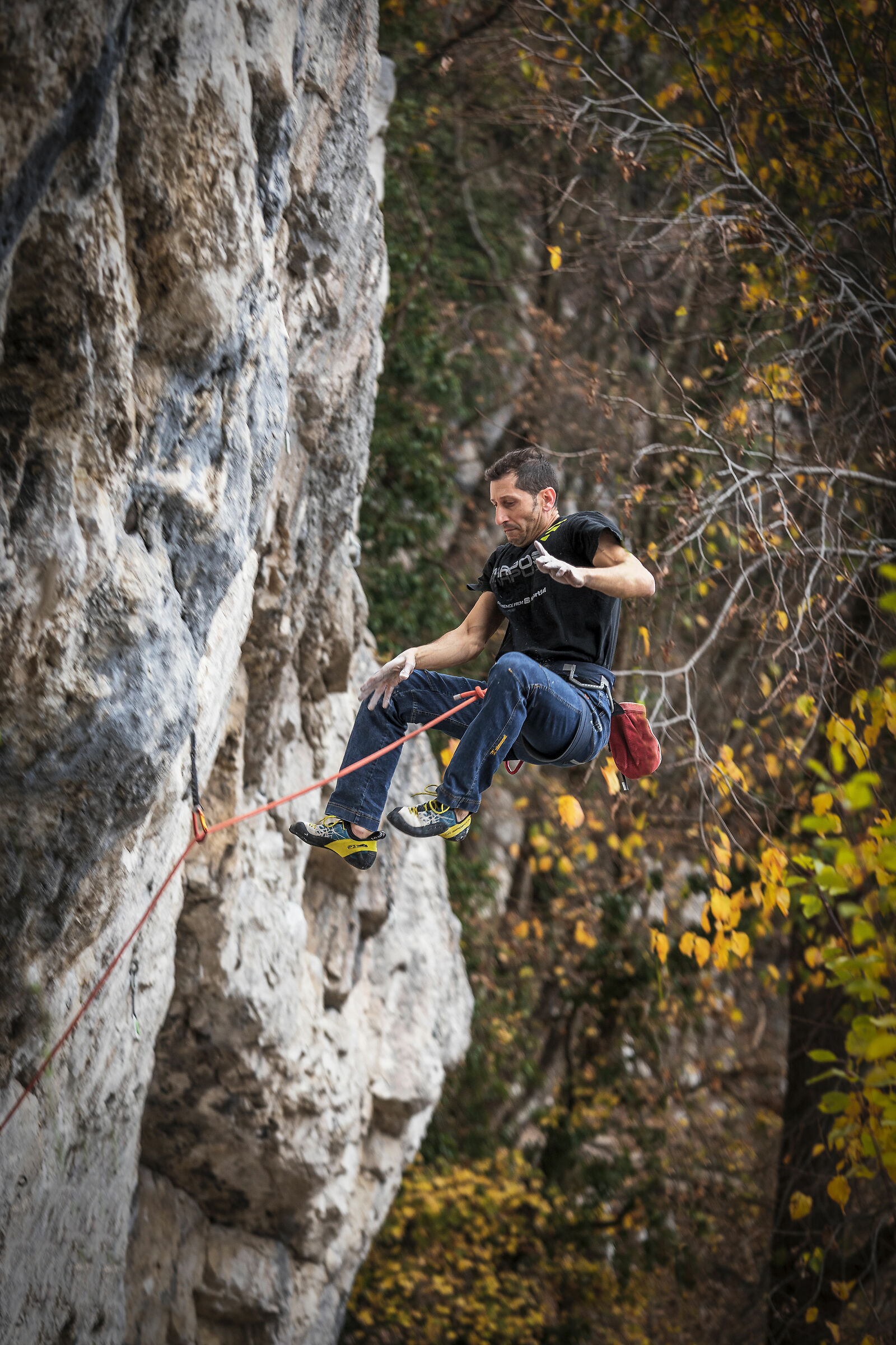 in autumn it's not just the leaves that fall