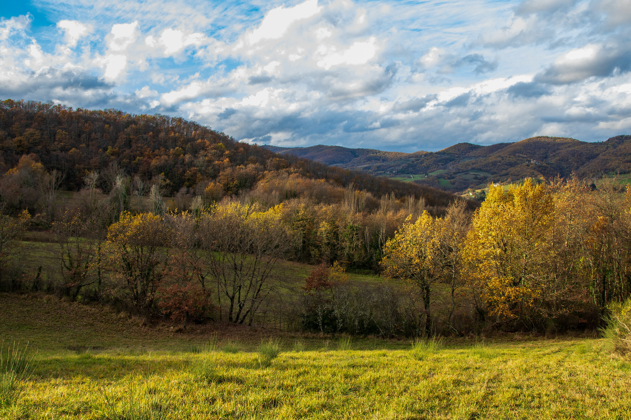 Countryside