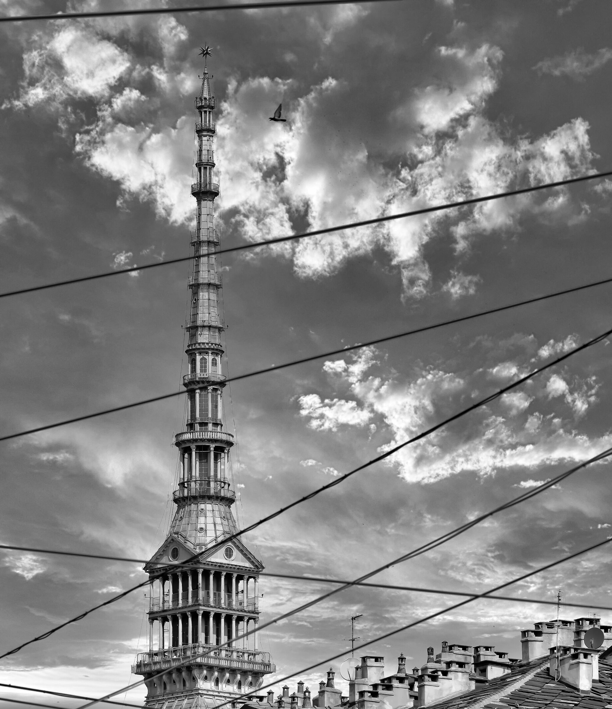 Cables