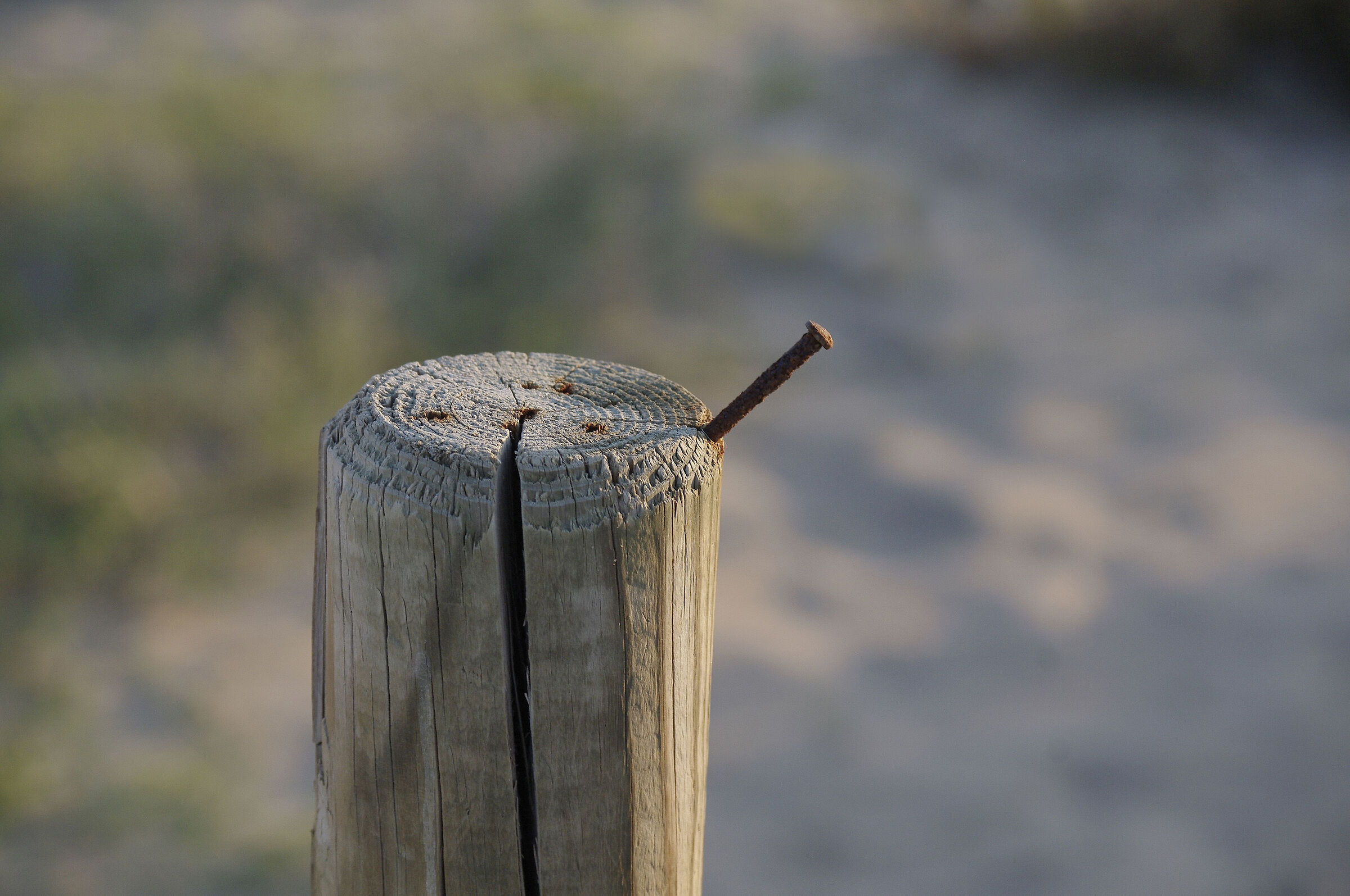 Fixed nail on the head