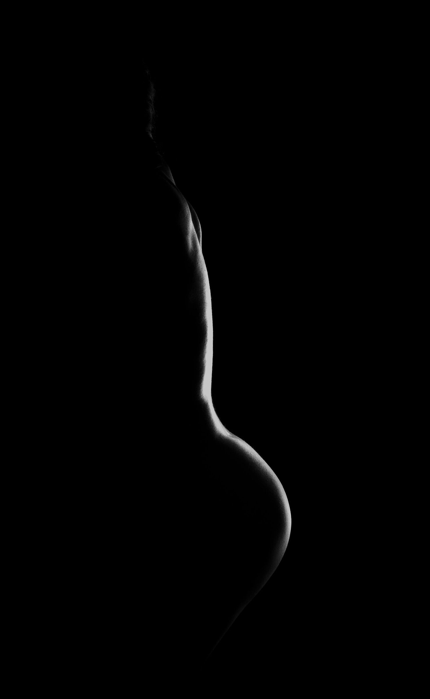 Untitled Photo