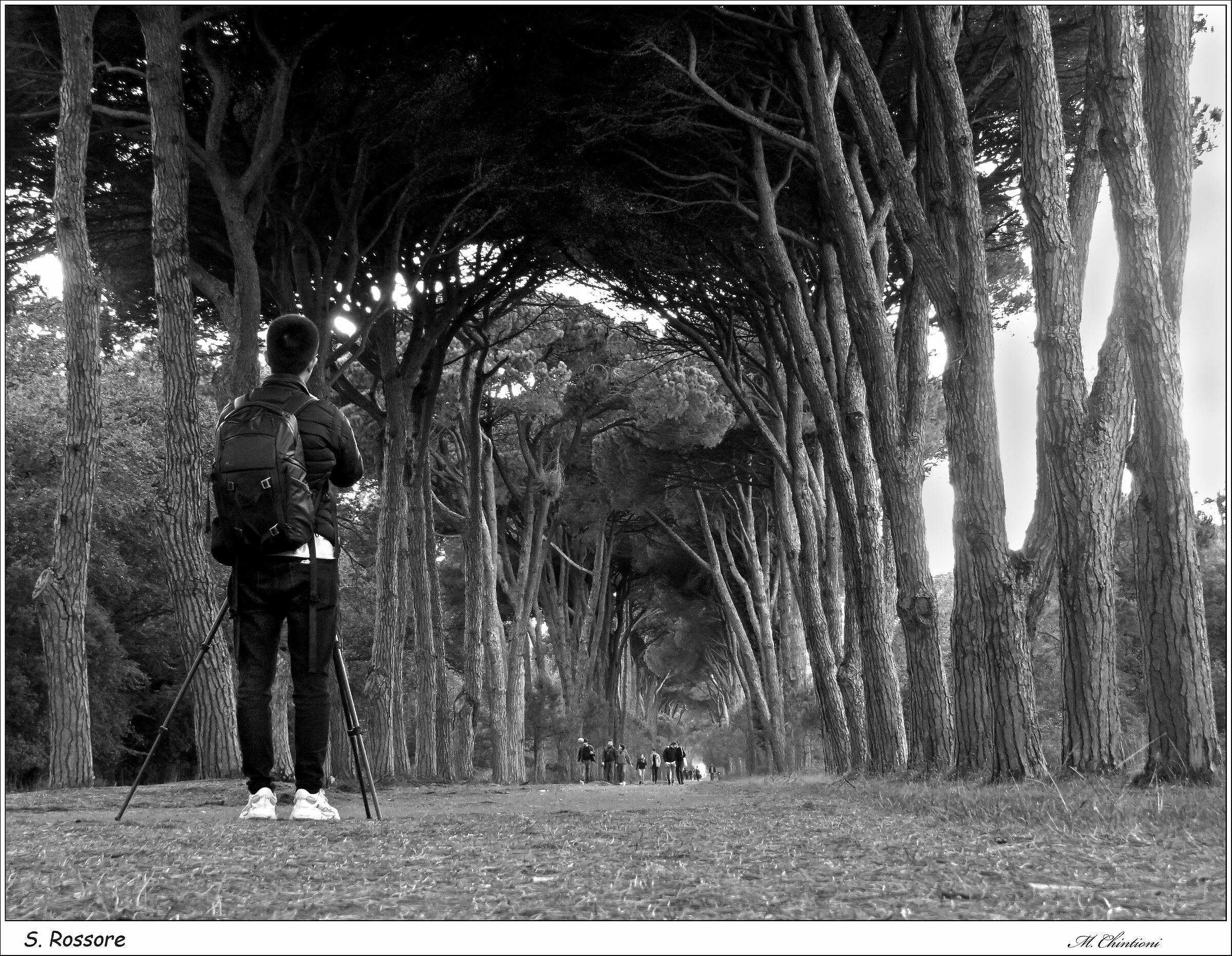 "Professione Fotografo"