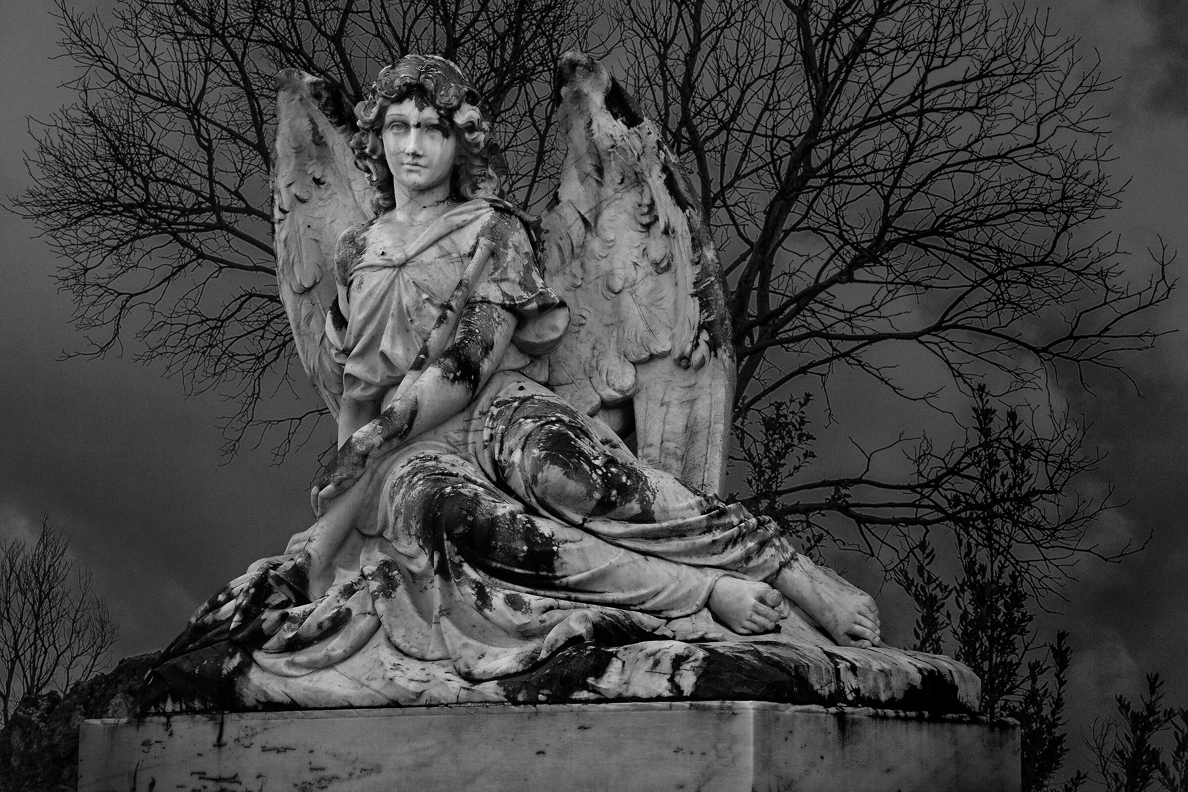 At the gates of Purgatory