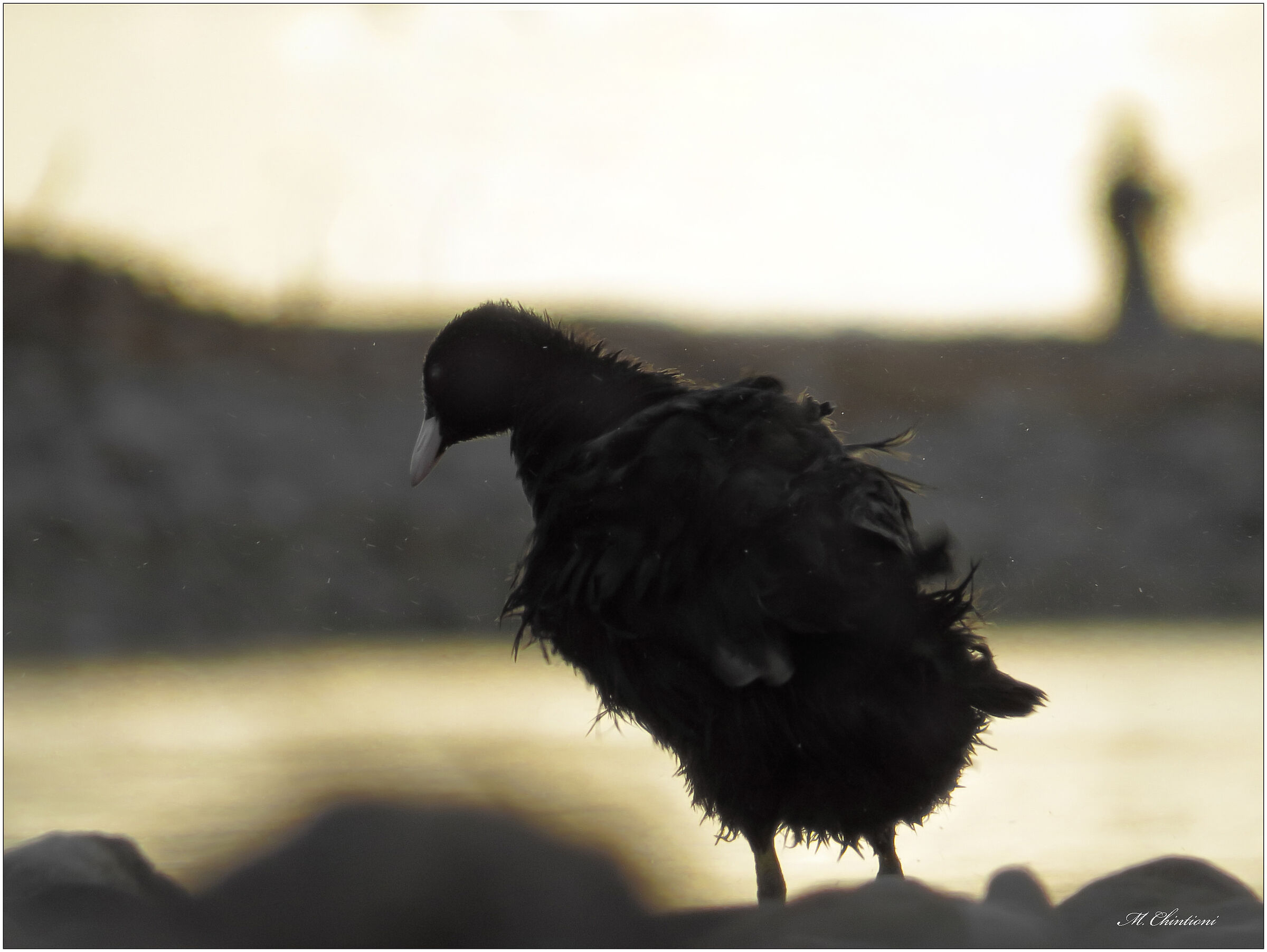 il "Bagnetto" della Folaga
