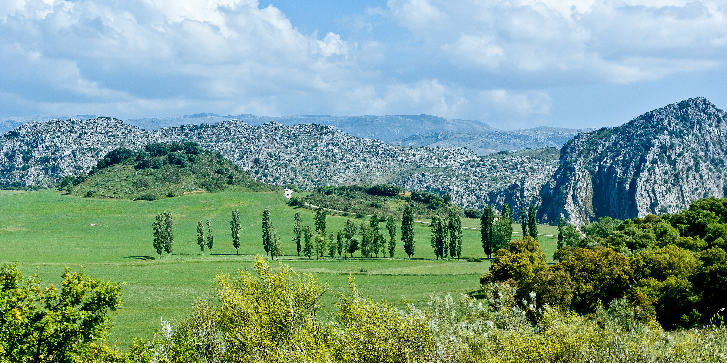 Paesaggio 02