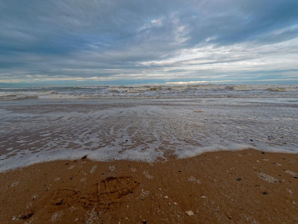 Pana Leica Test 8 - 18