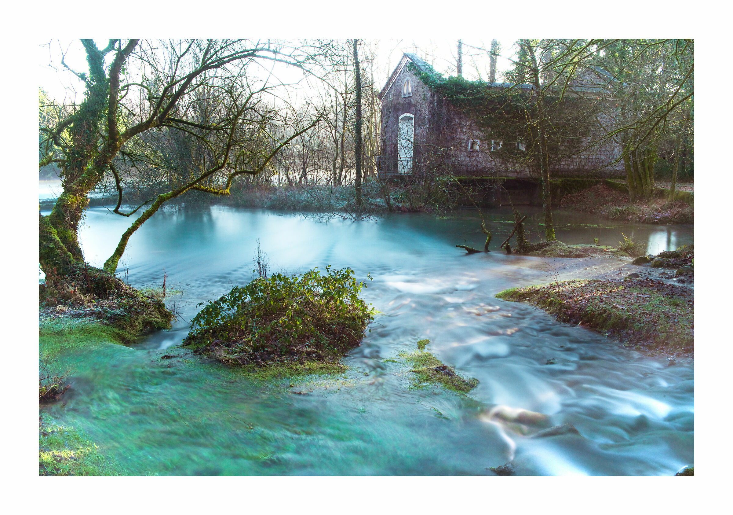 The Most Holy Livenza