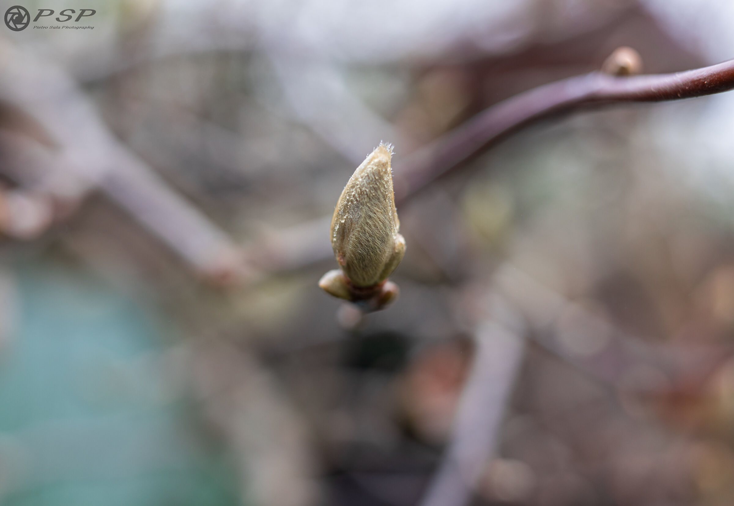 In the middle of this winter