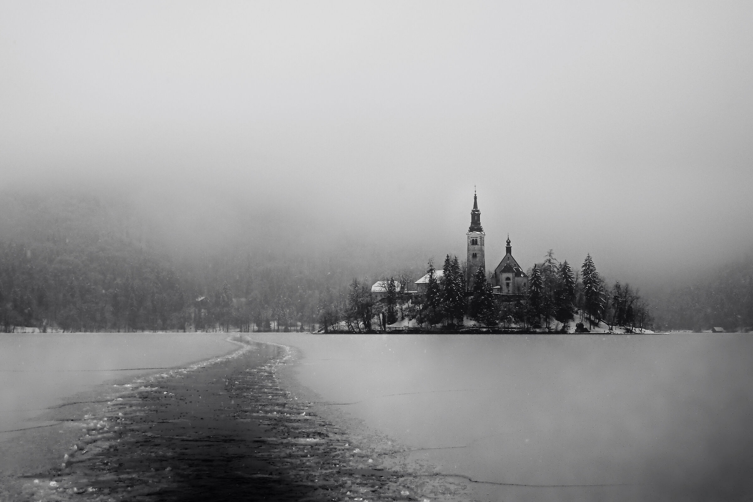 Magical Bled