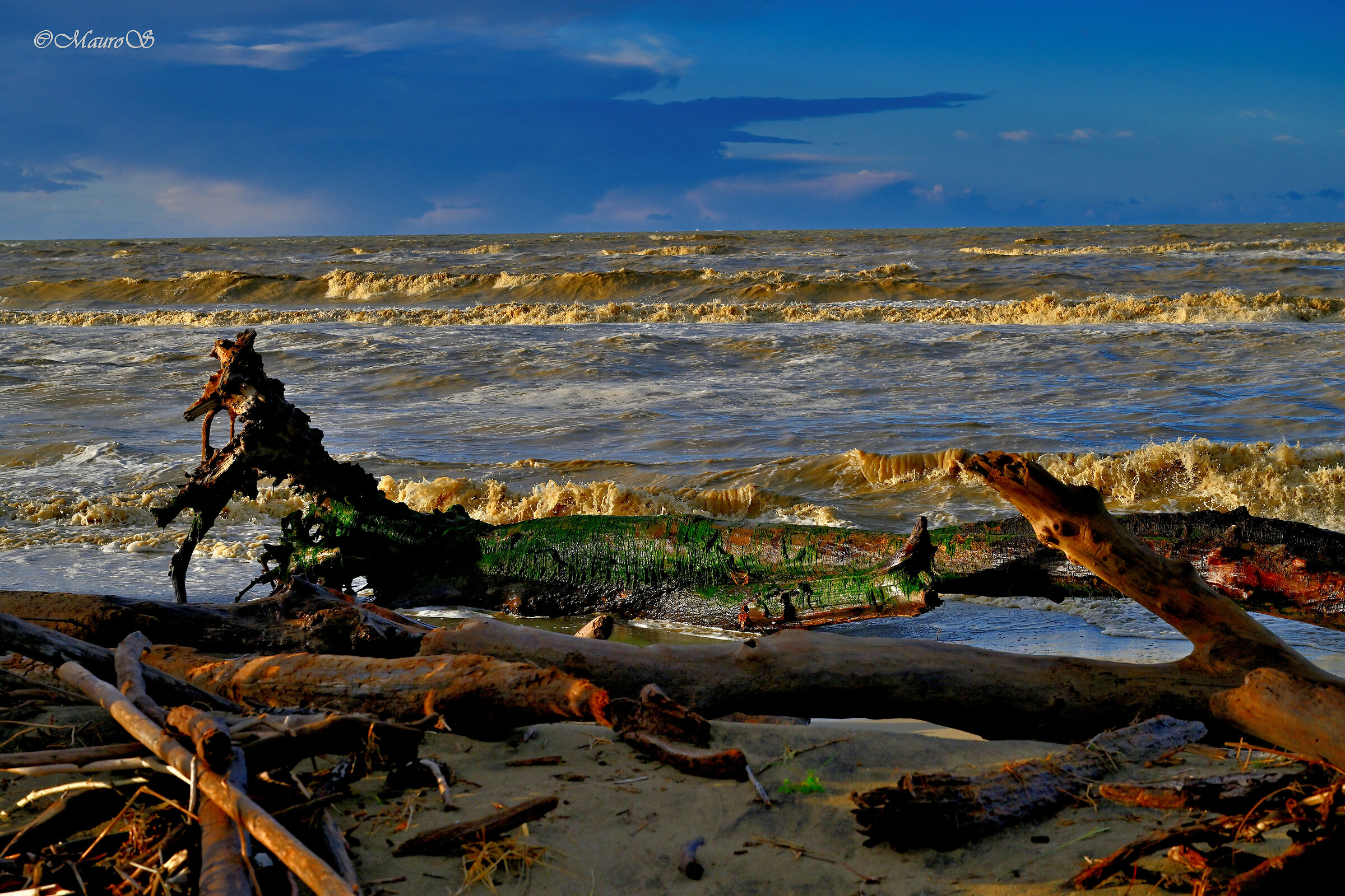 Mare Molto Mosso