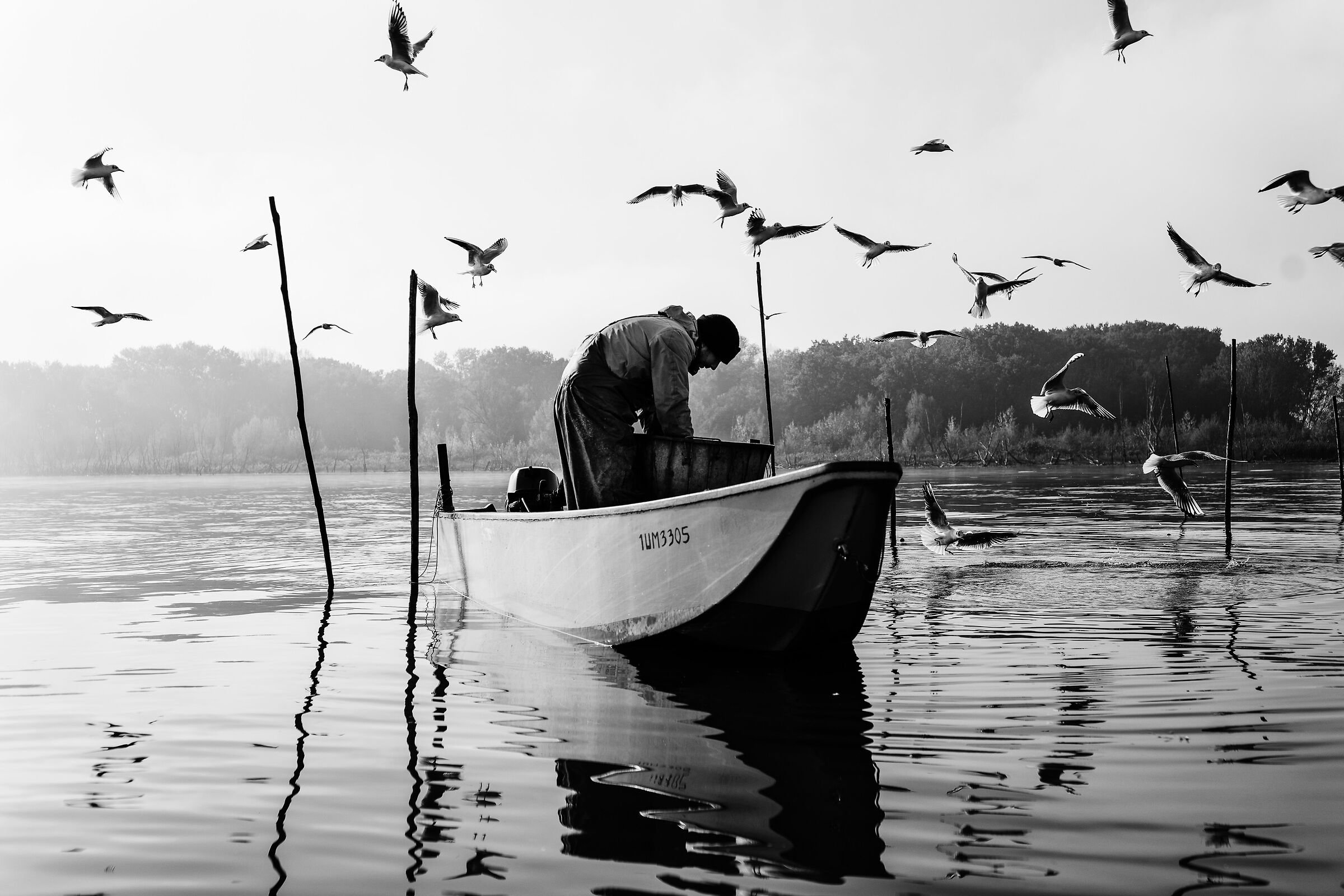 " E Trovarsi a volare ... "