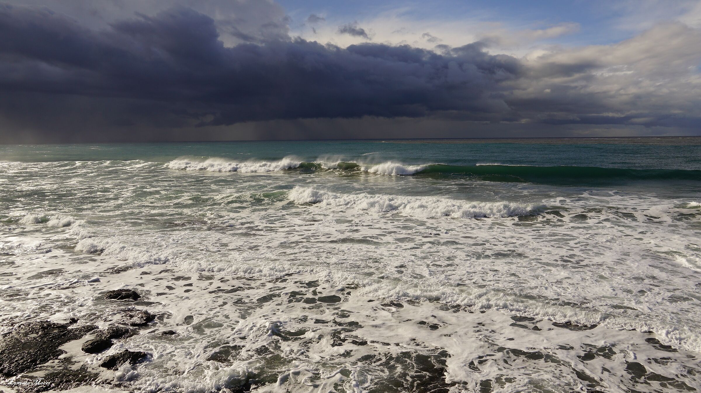 another dayTo shelter from the storm …..