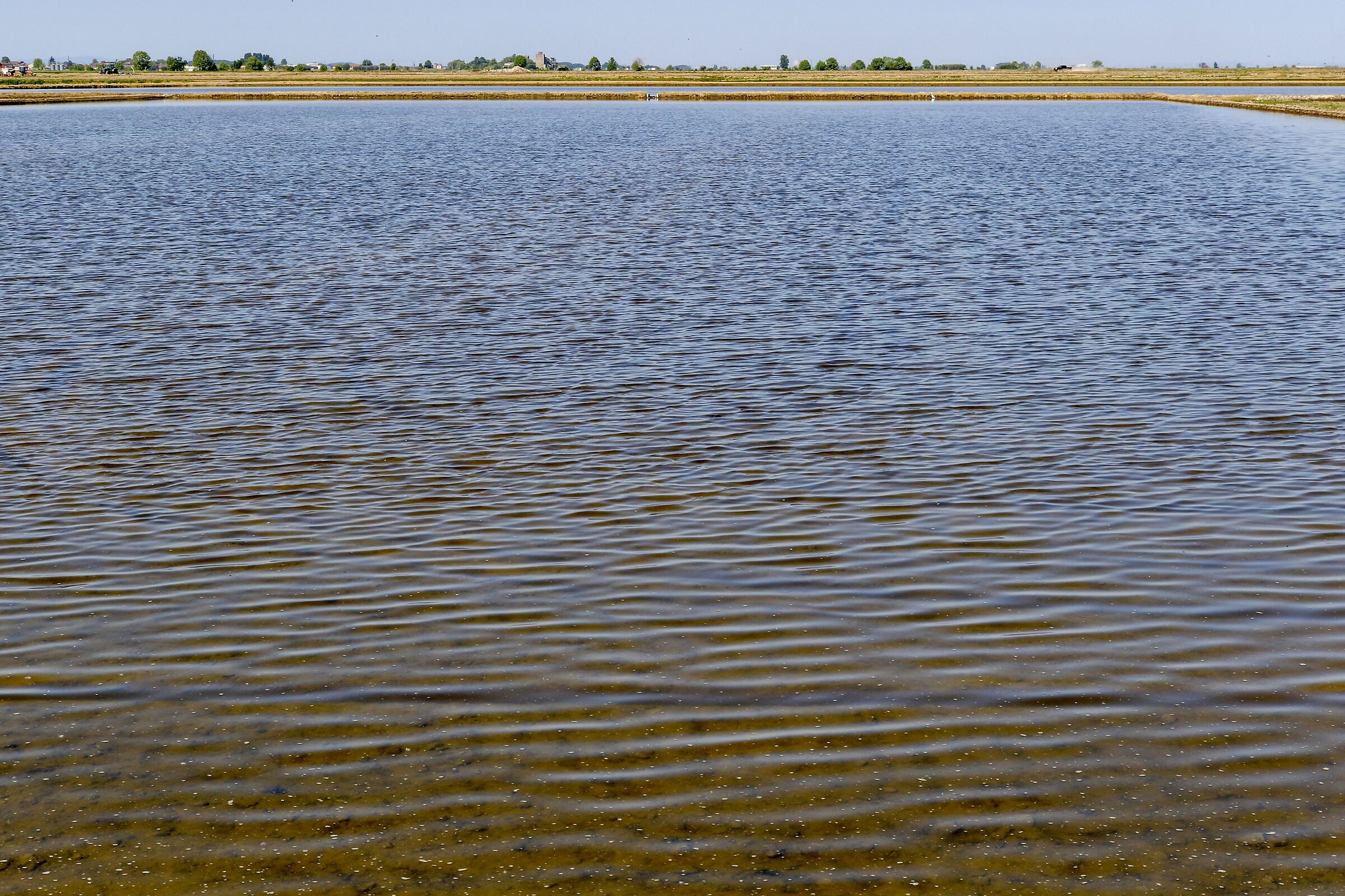 Vercellese, terre d'acqua.