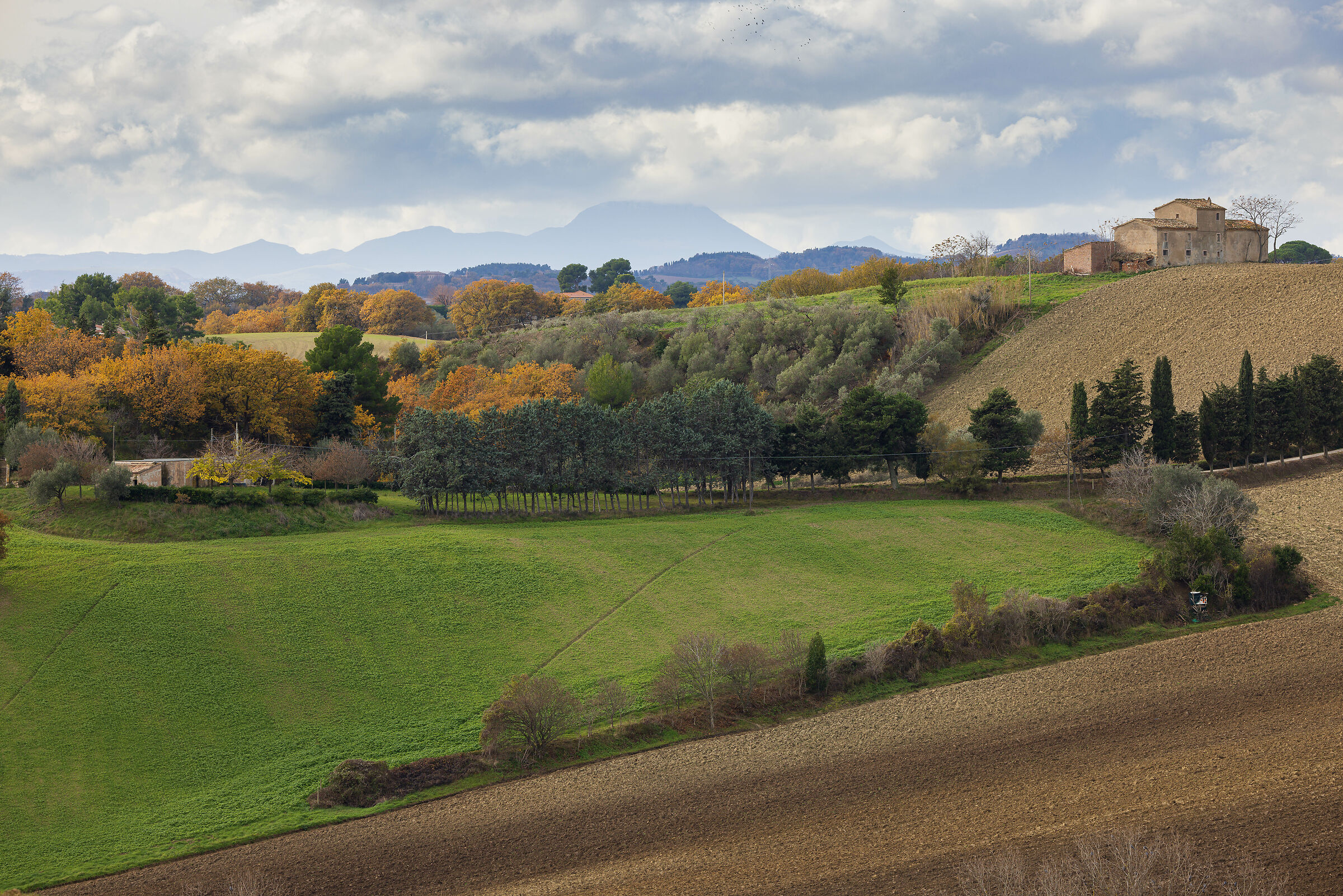 Sulla via per il Conero