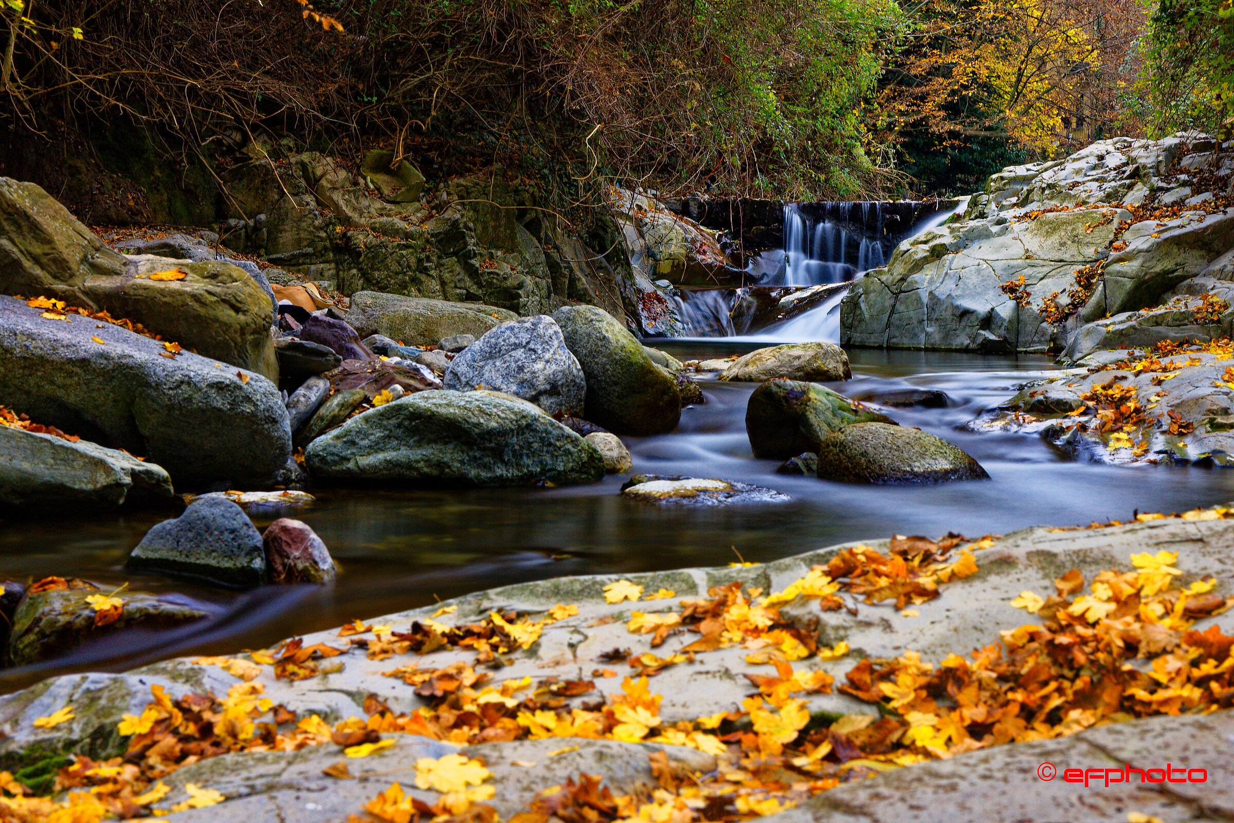 Nature