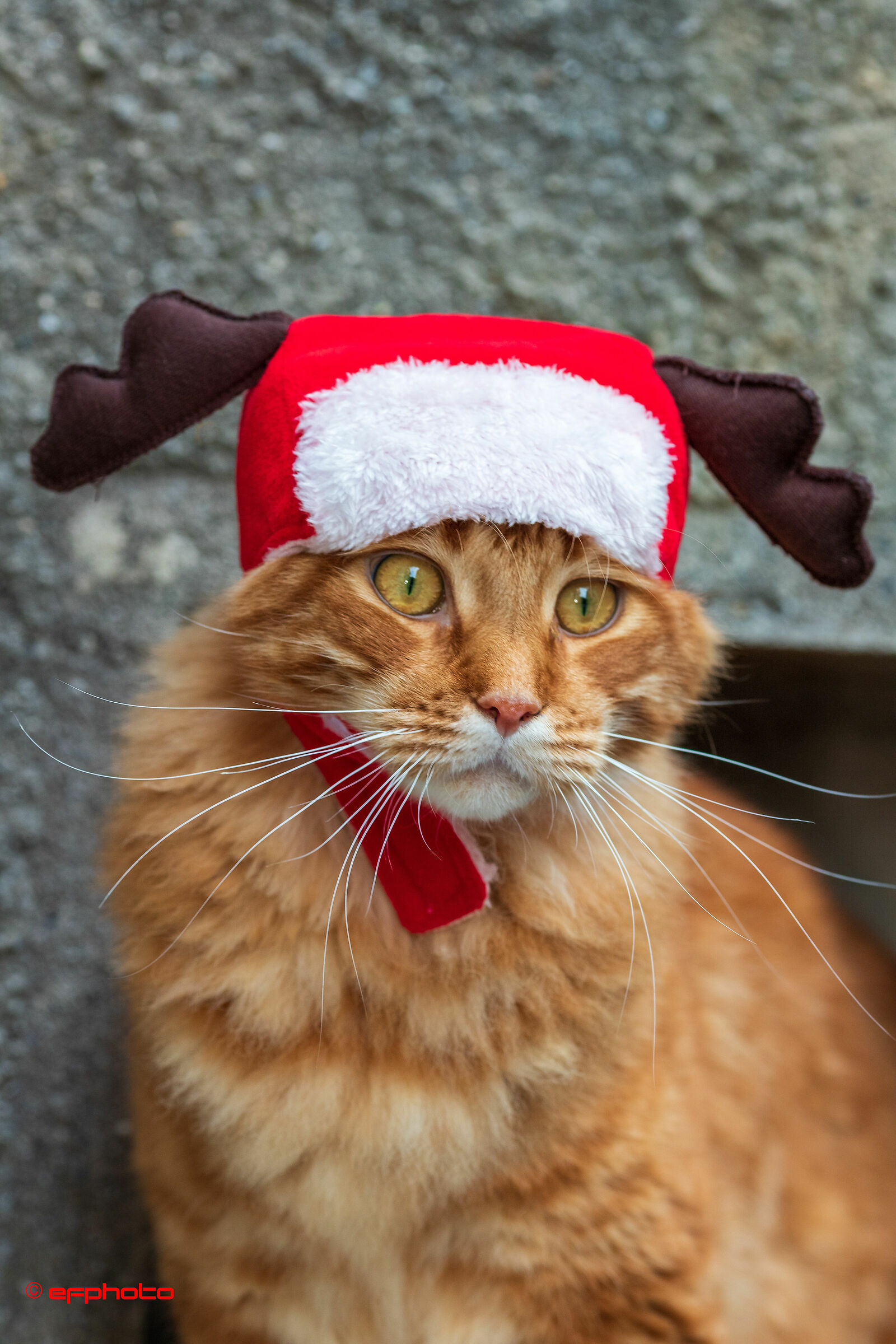 kiro christmas