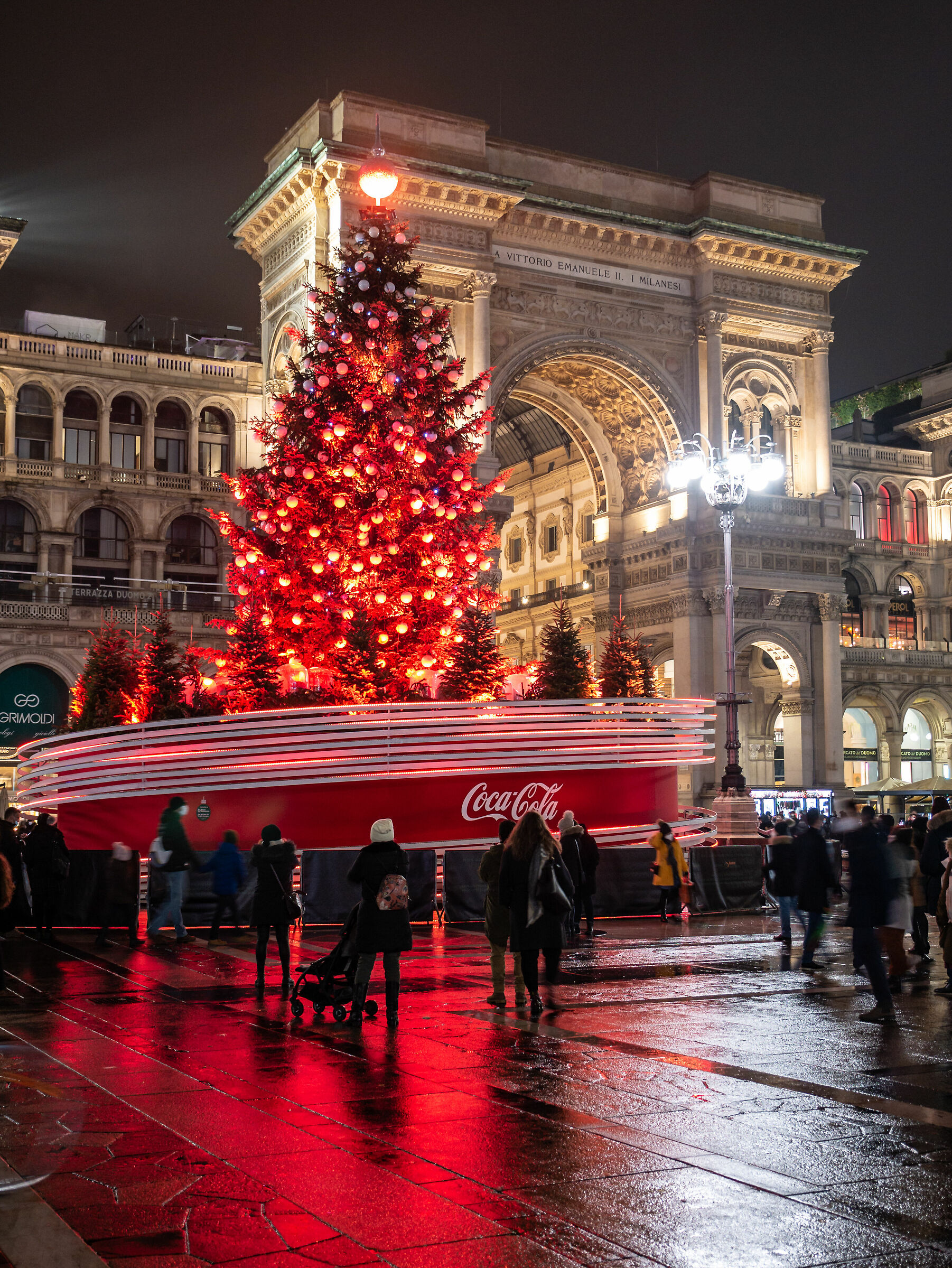 Tree - Piazza Duomo Milan