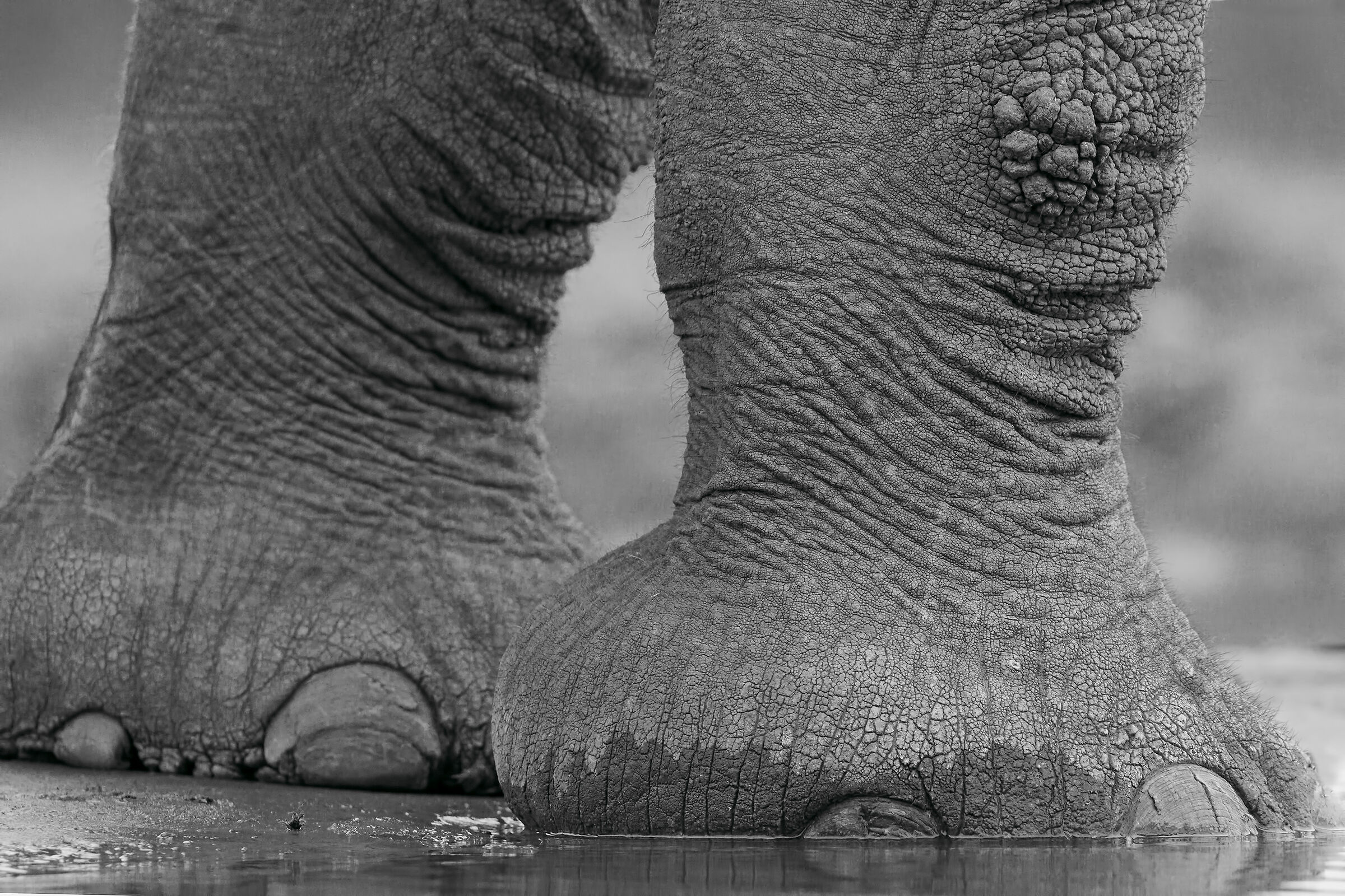 I pilastri del Botswana