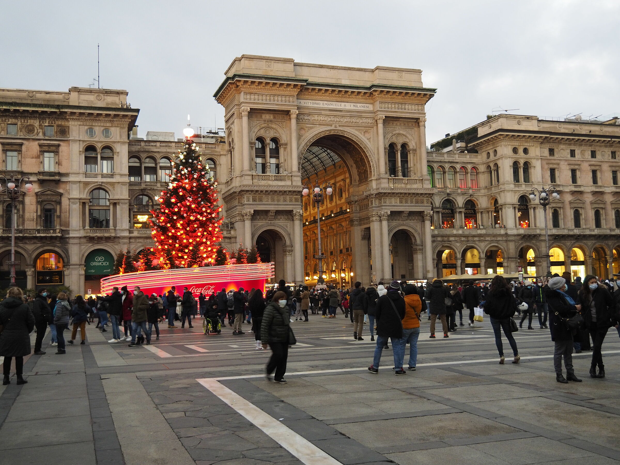 The tree has arrived!