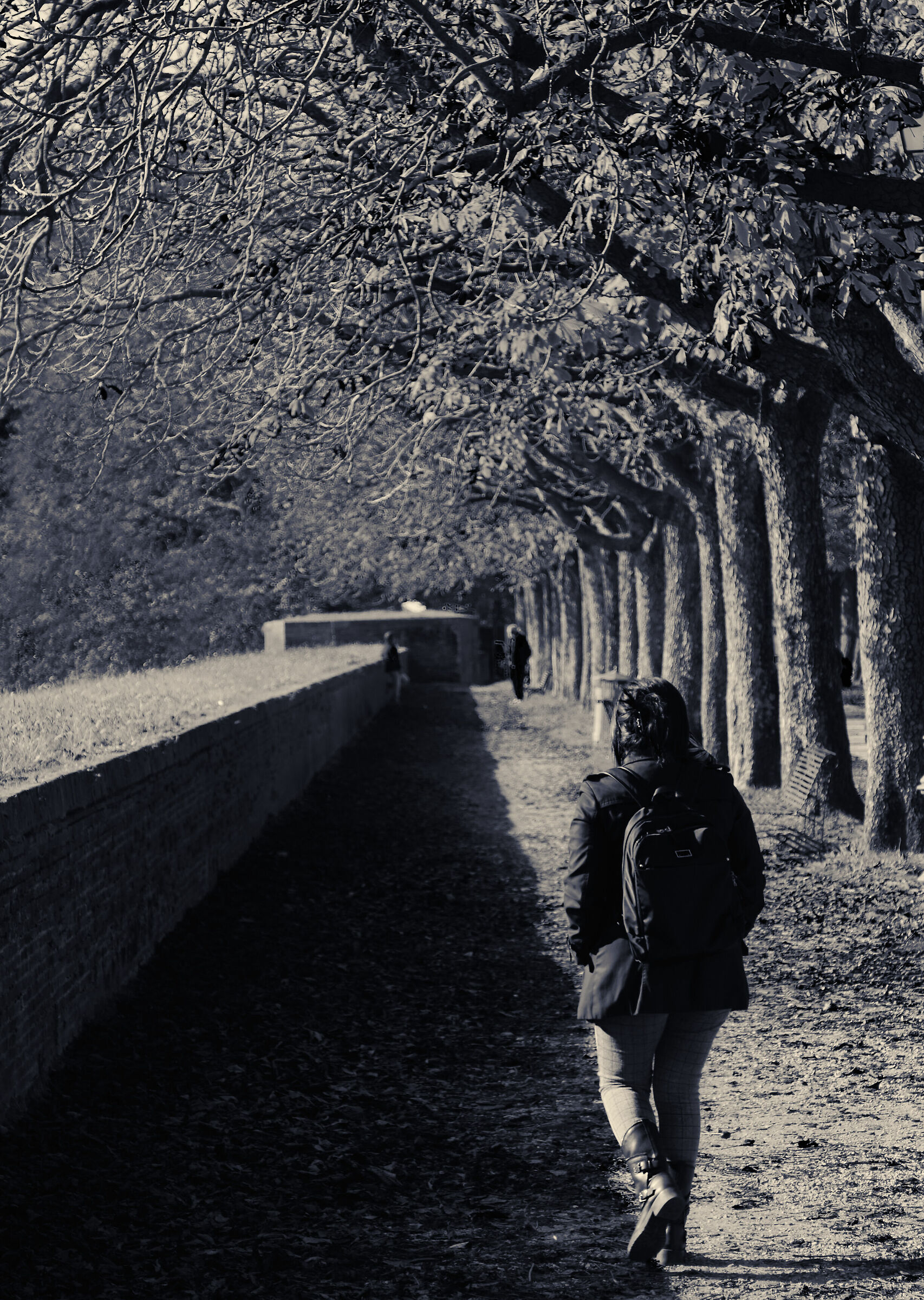 passeggiando verso il sole