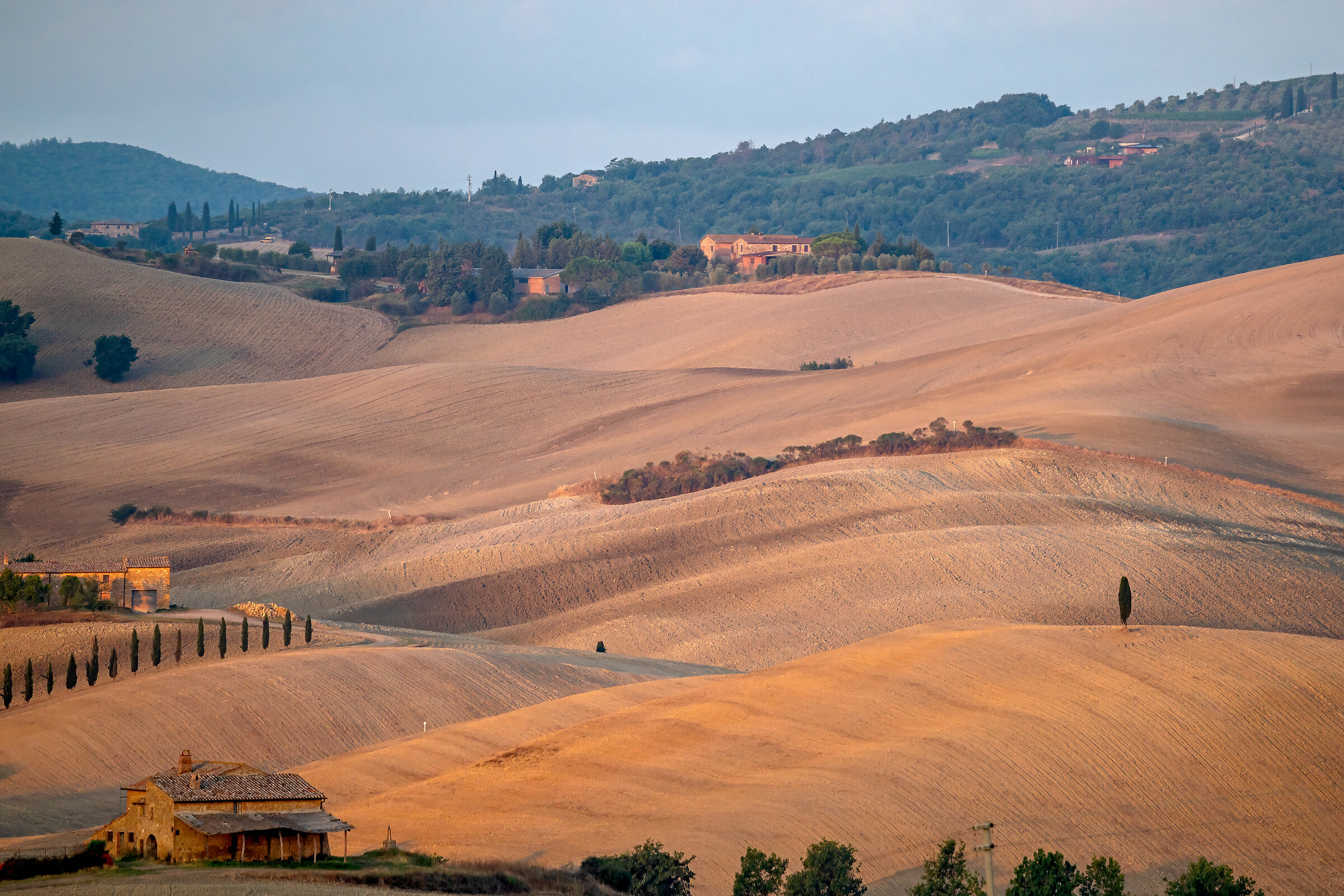 Il risveglio della terra