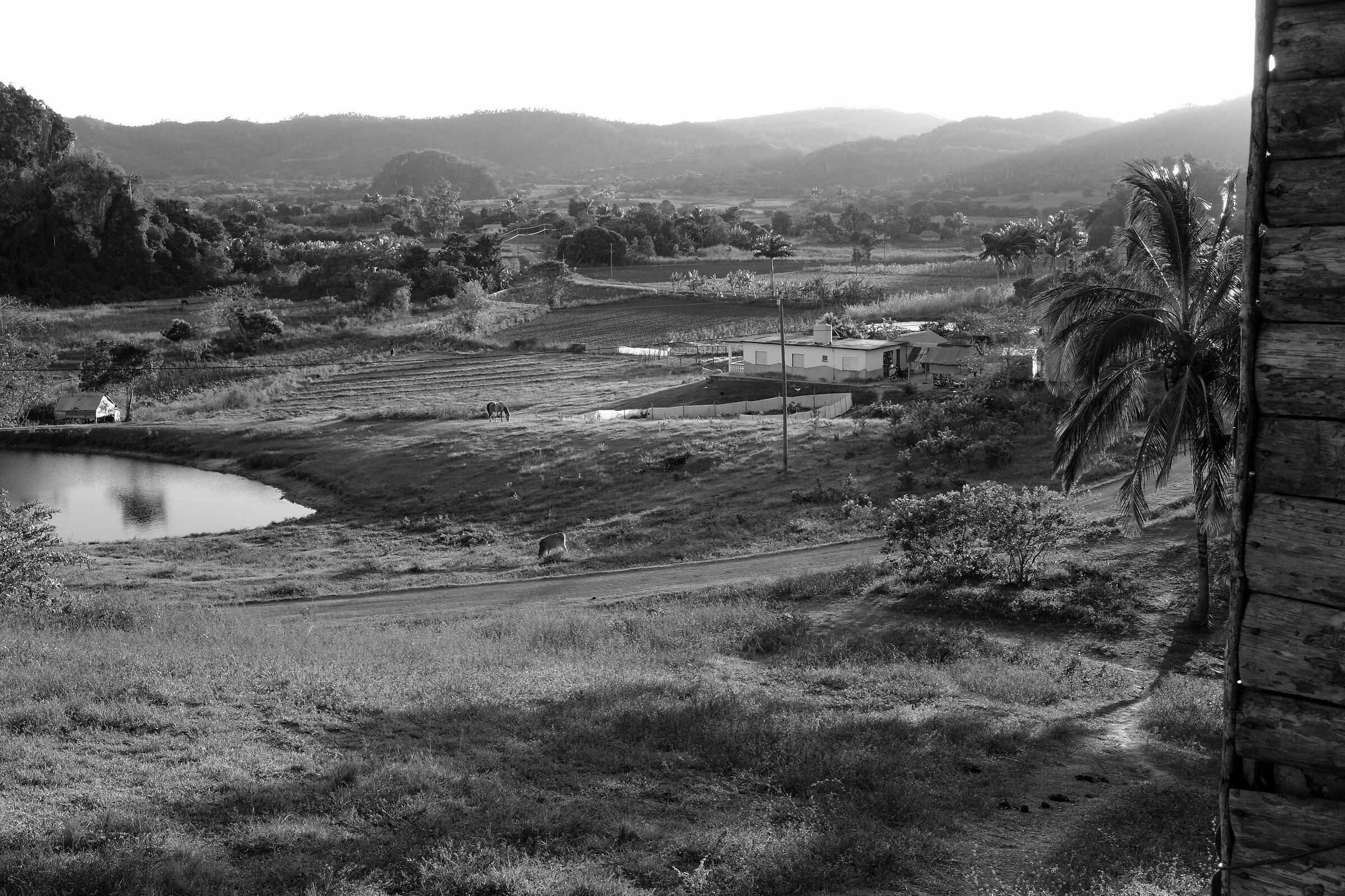 The Vinales Valley