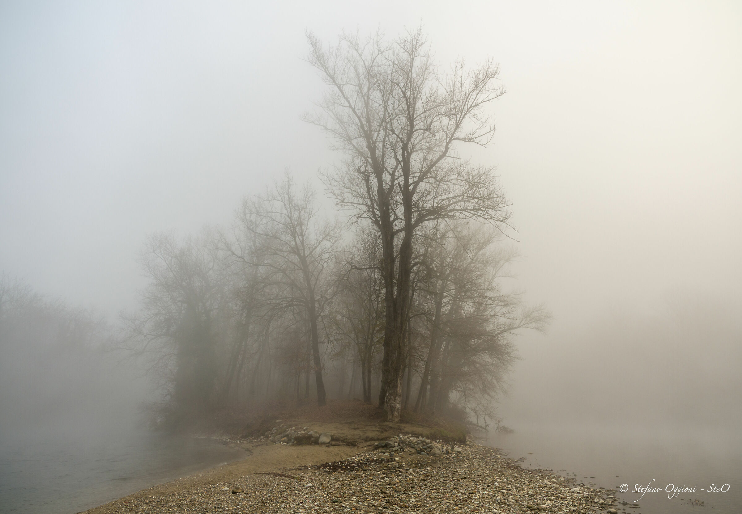 Mist on the river