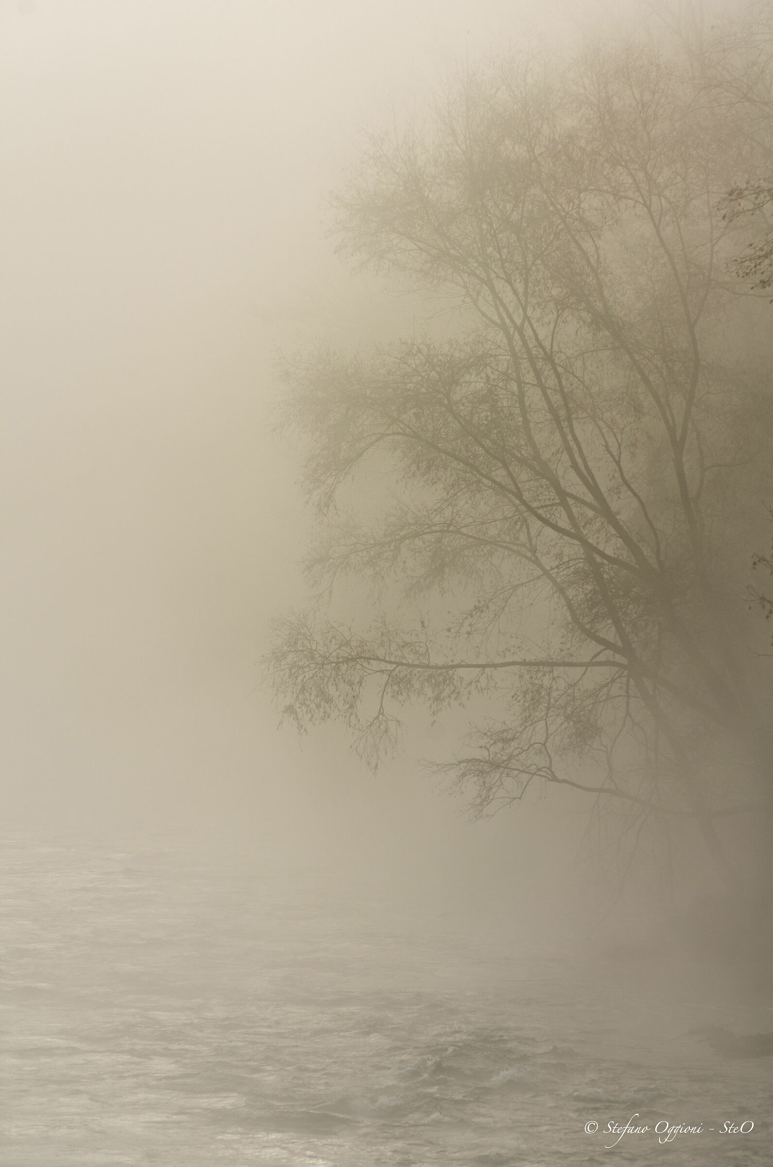 Nebbia sul fiume