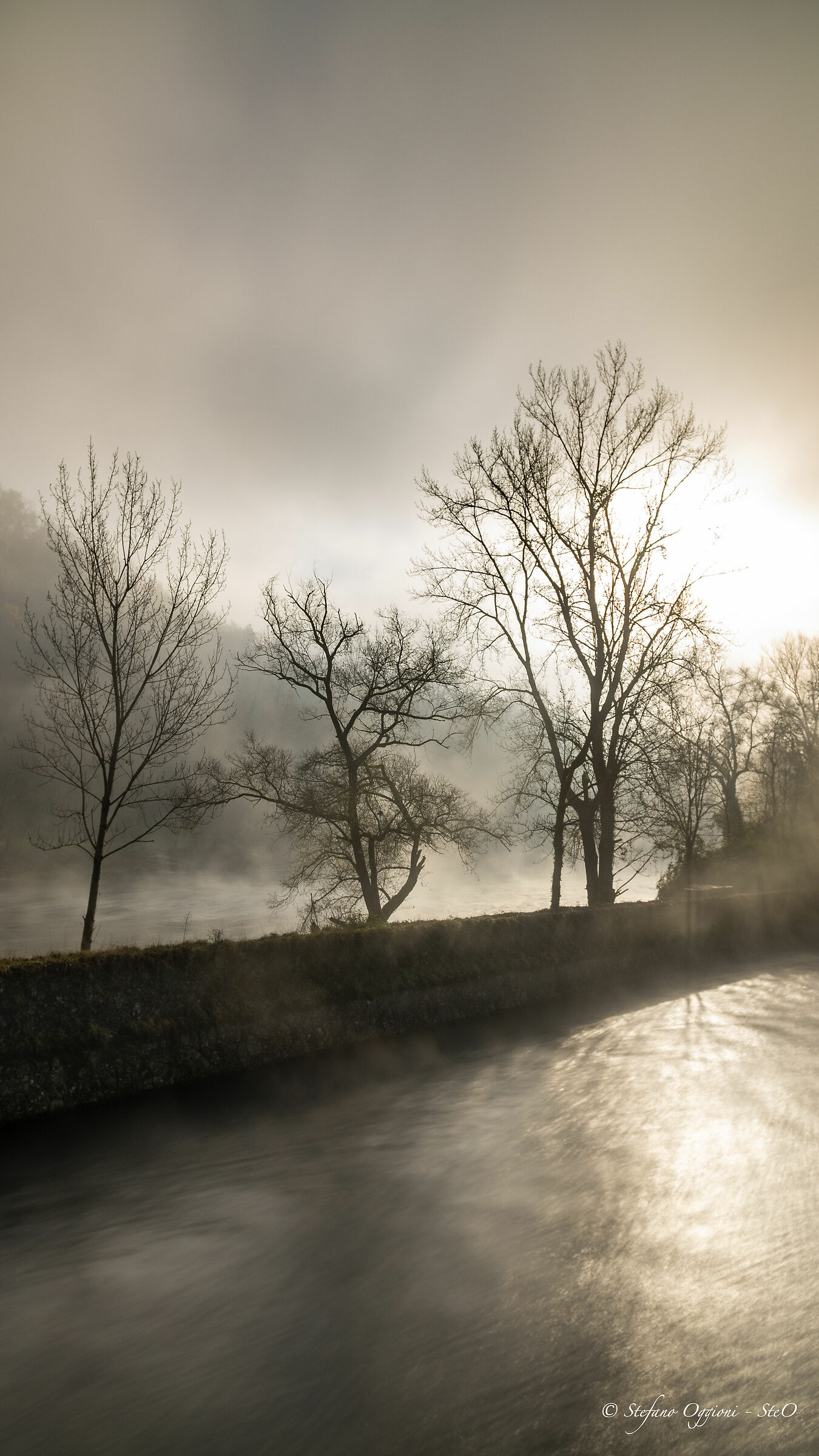 Nebbia sul fiume