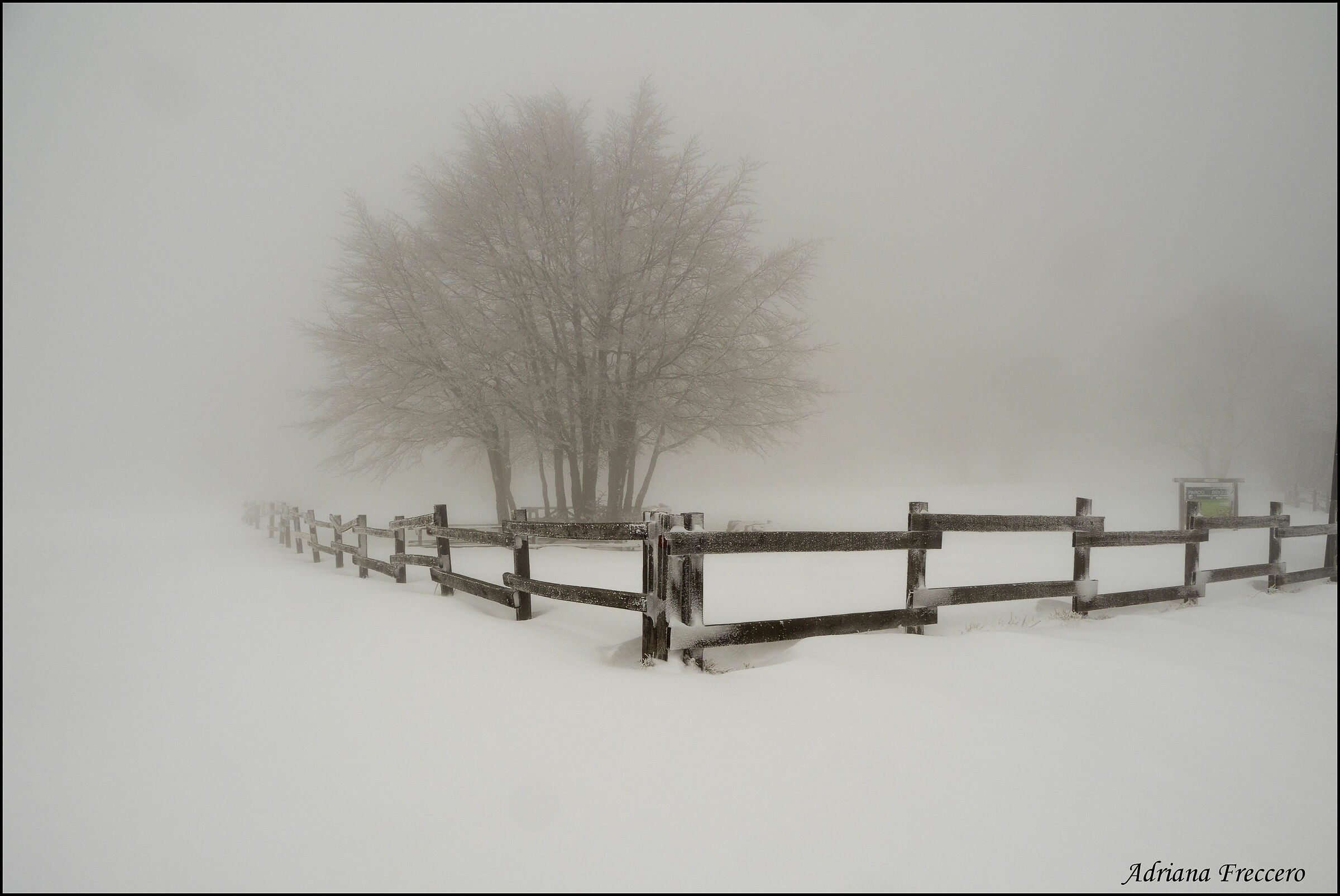 Untitled Photo