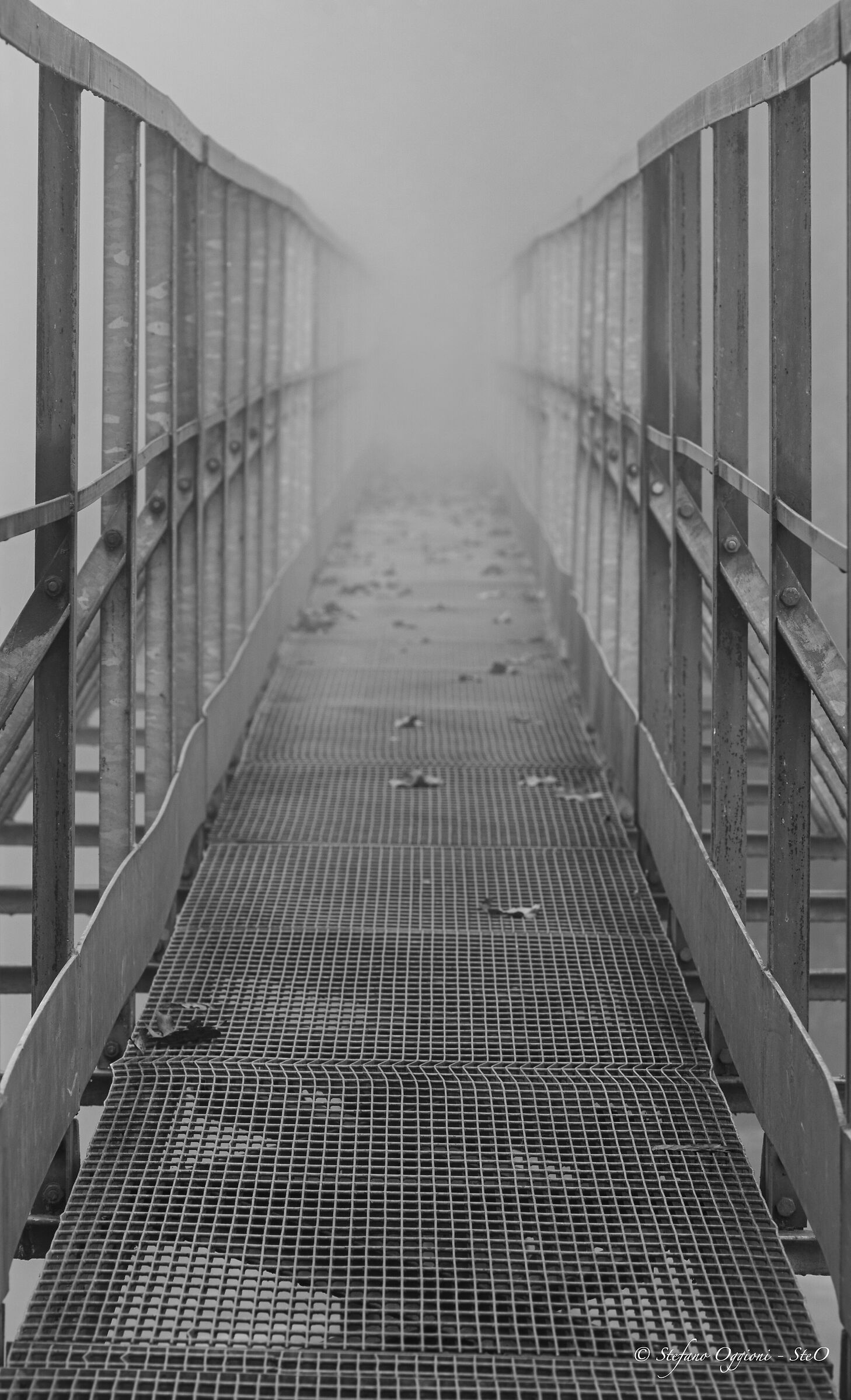 Passerella sulla nebbia...