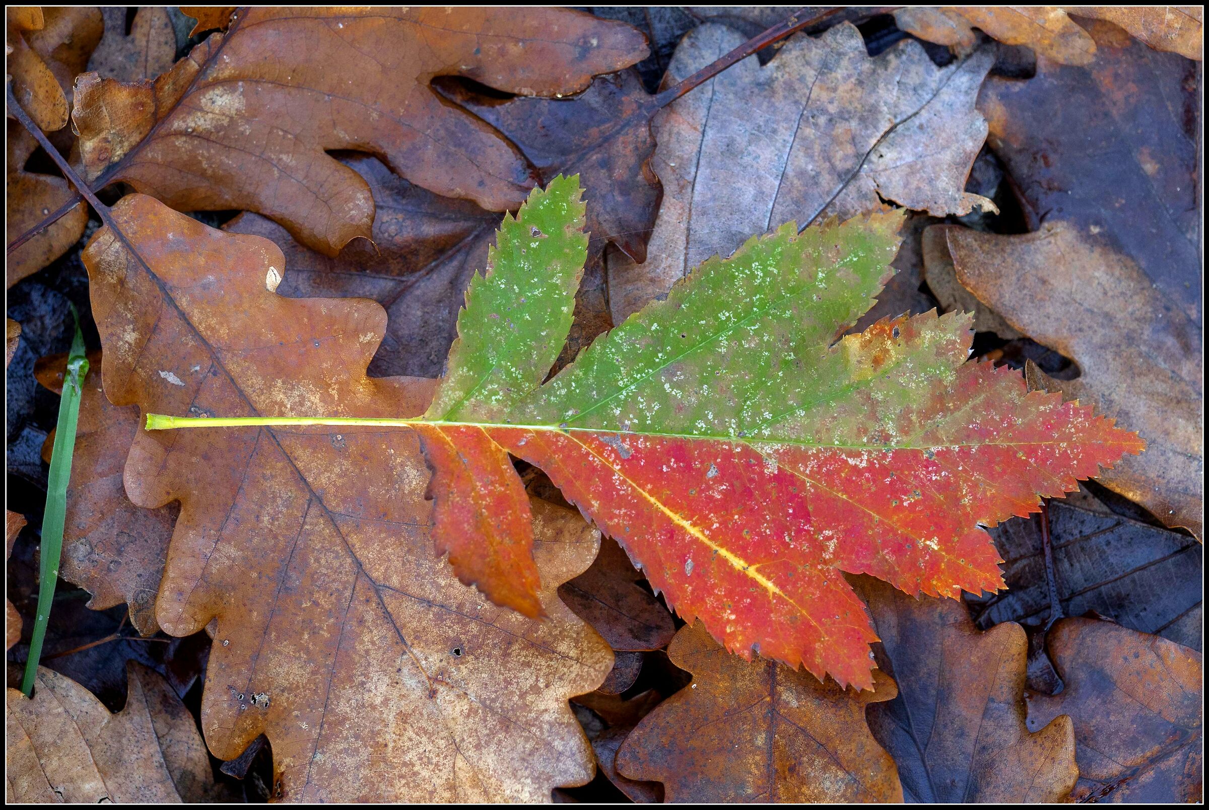 Untitled Photo