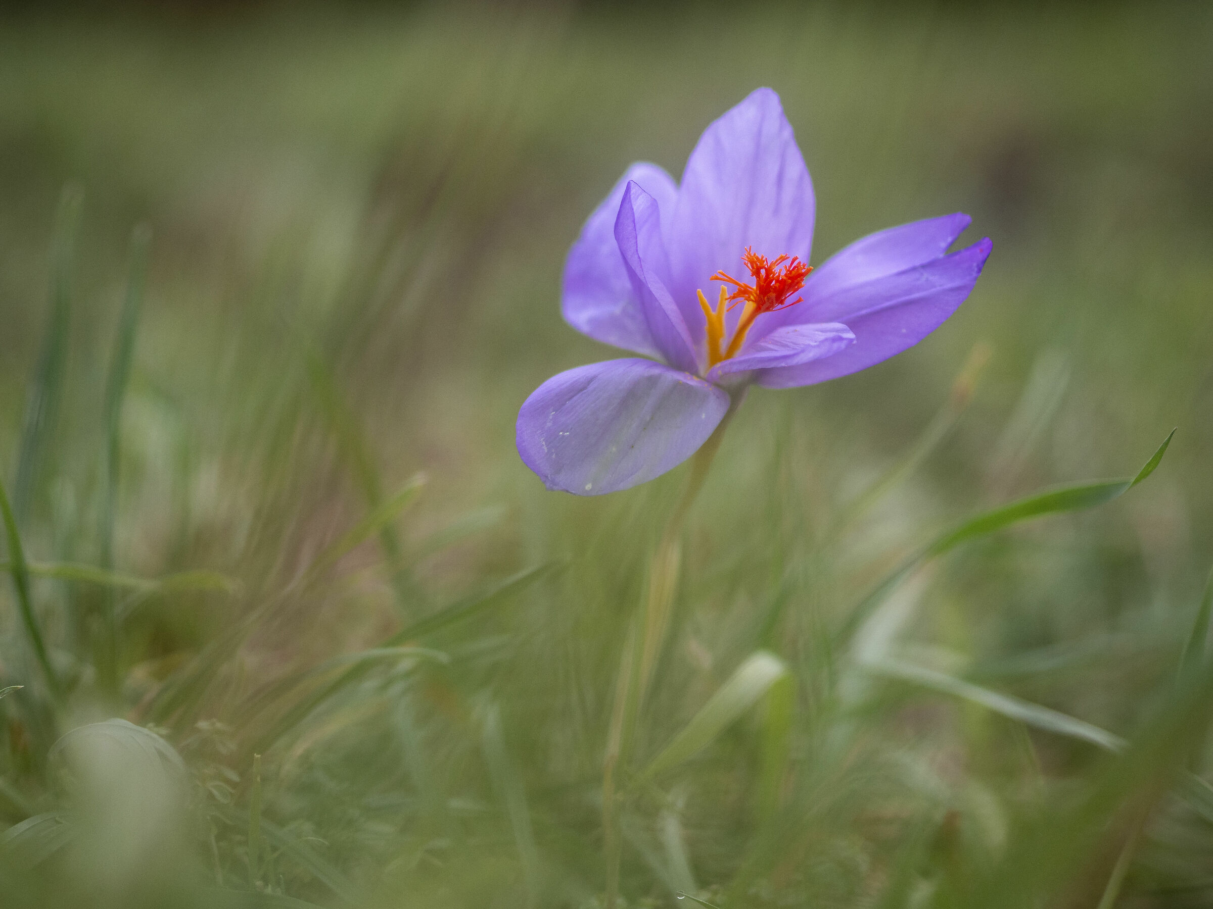 Untitled Photo