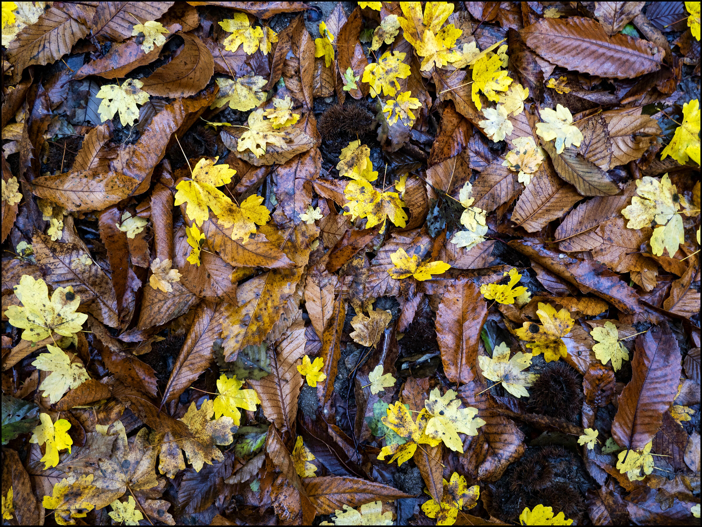 Untitled Photo