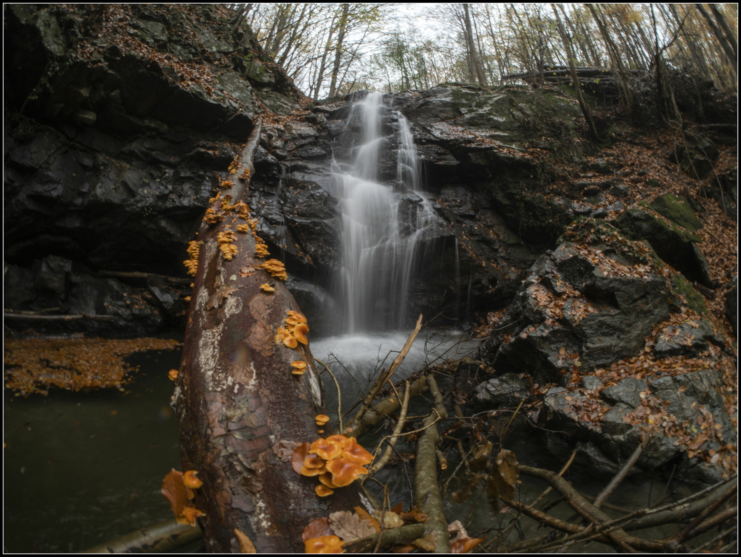 Untitled Photo