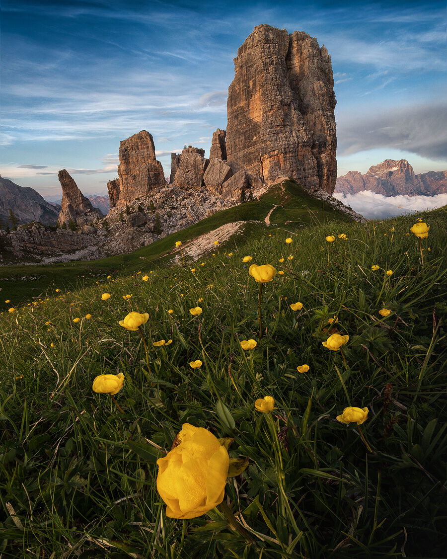 Fiori alle Cinque Torri