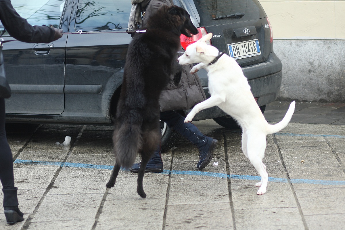 Old boy! How long ....