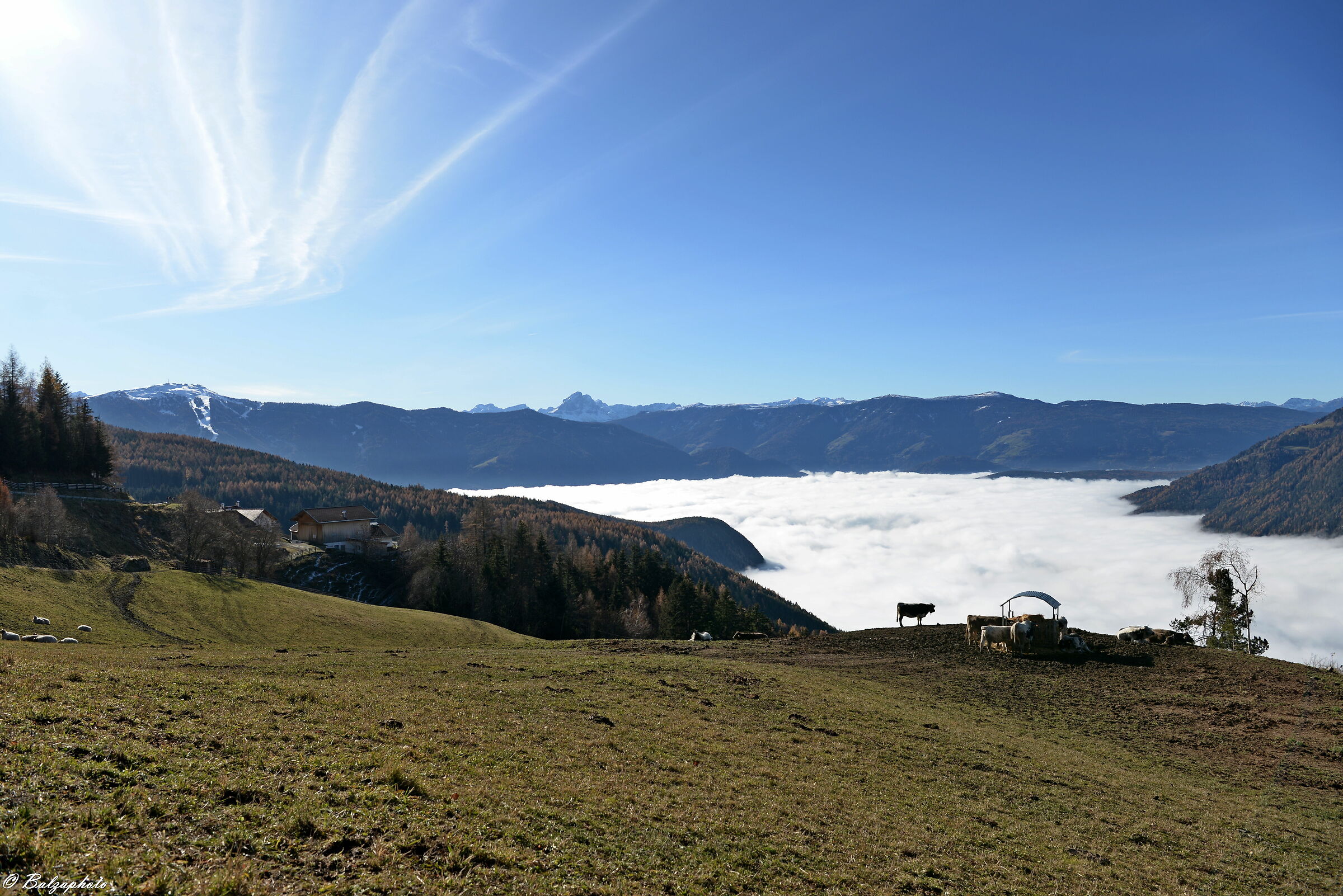 Fog at the bottom of the valley